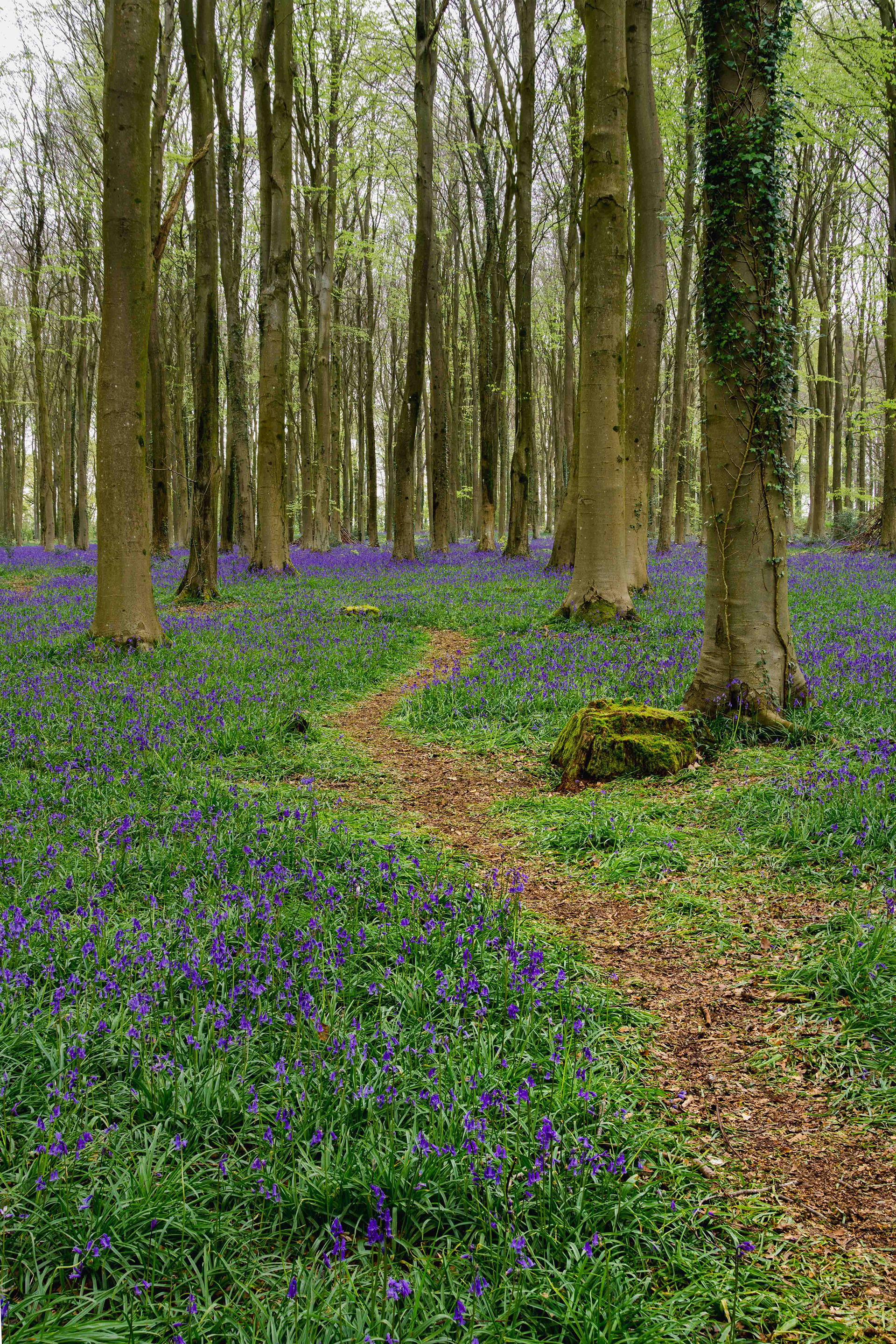Angmering Park Estate 2024