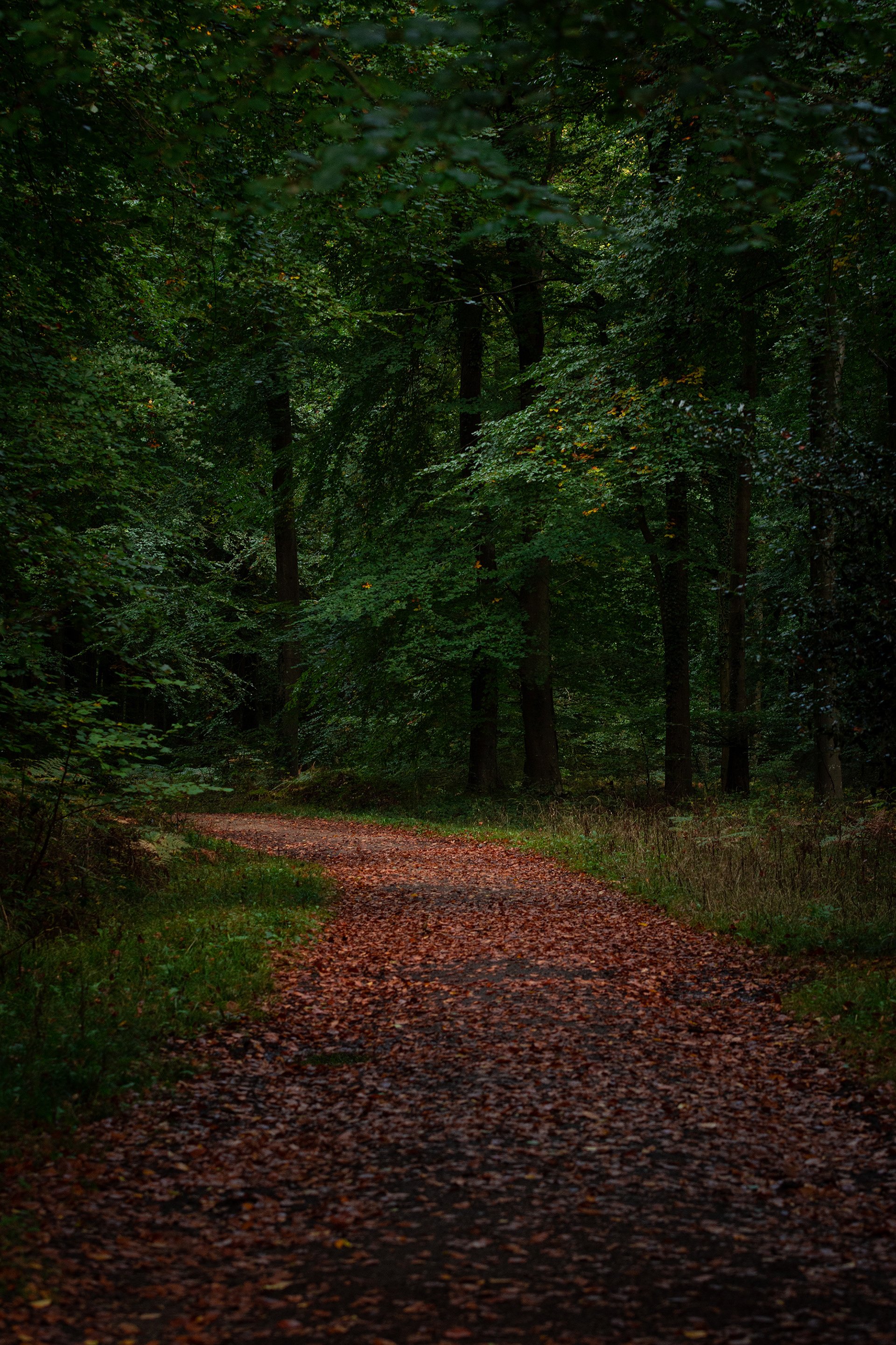 Autumn 2022