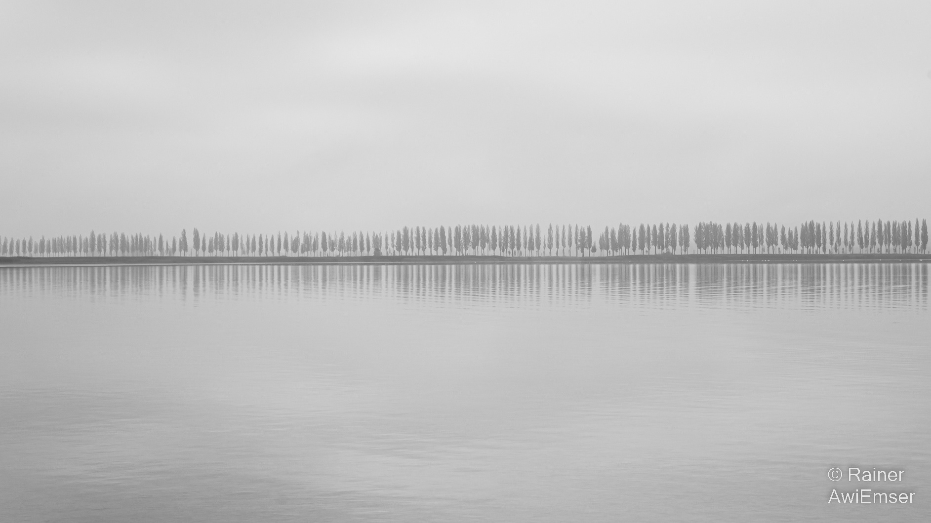Pappelallee, Nebel, See, Bodensee