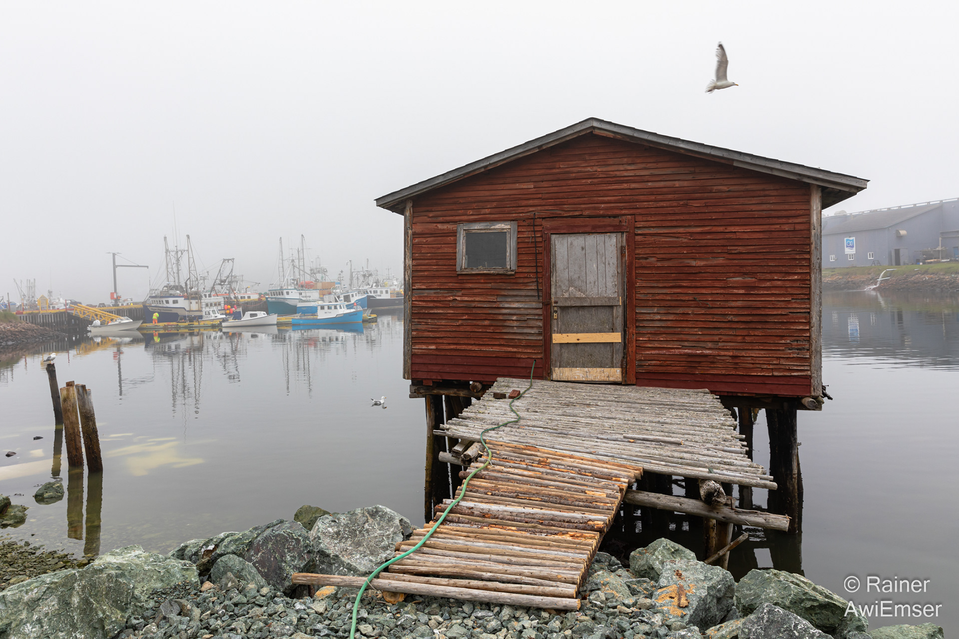 St. Lawrence, Burin Peninsula, verwittertes Bootshäuschen, Nebel, Neufundland