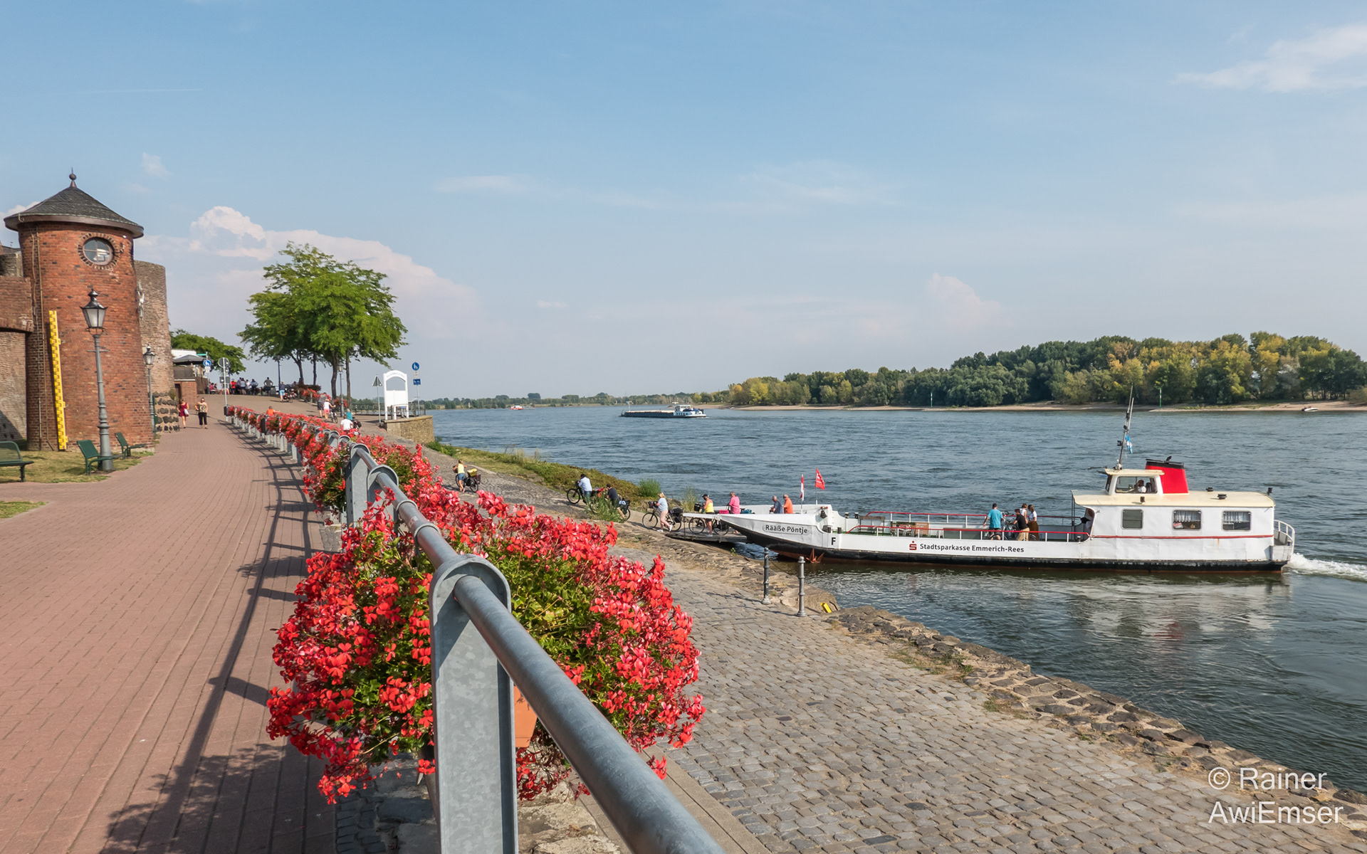 Rhein-Mythos, Bilderreise von den Schweizer Bergen bis zur Nordsee, Naturschutzgebiet Reeser Schanz, Rääße Pöntje