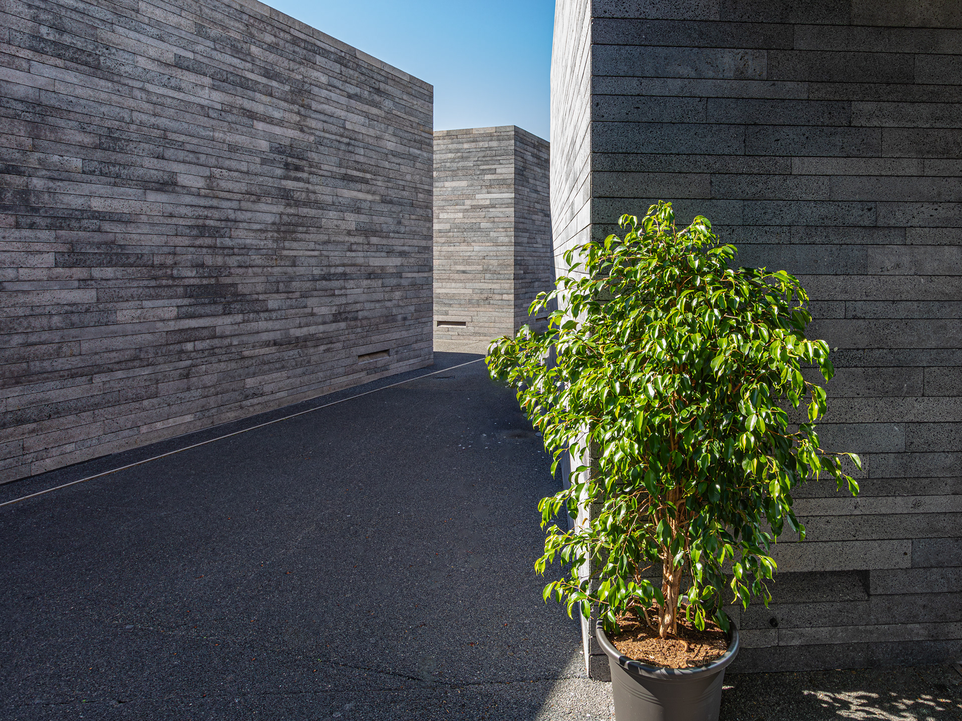 Museu de Arte Contemporanea da Madeira