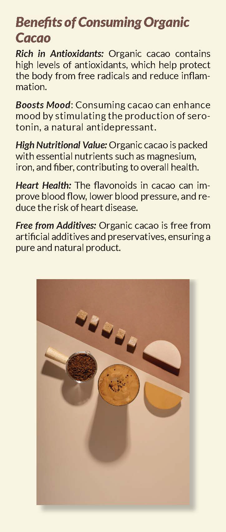 Brochure, World Chocolate Day