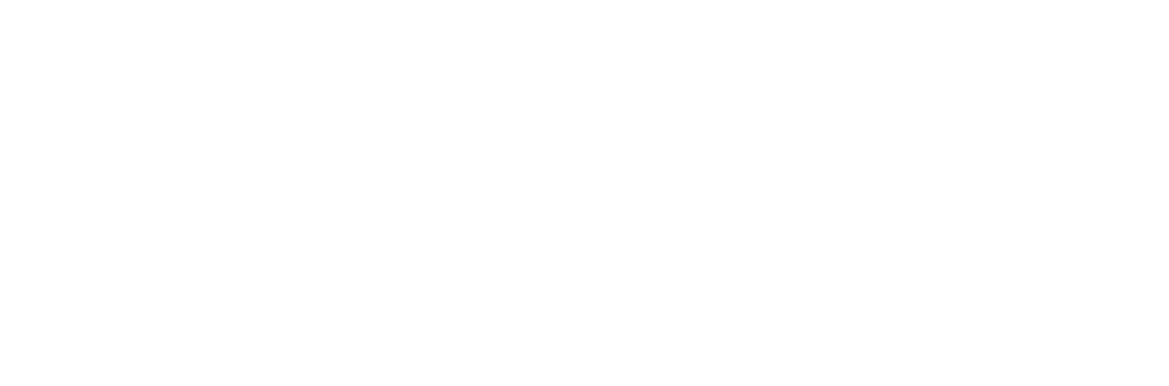 Margarida Caetano Dias
