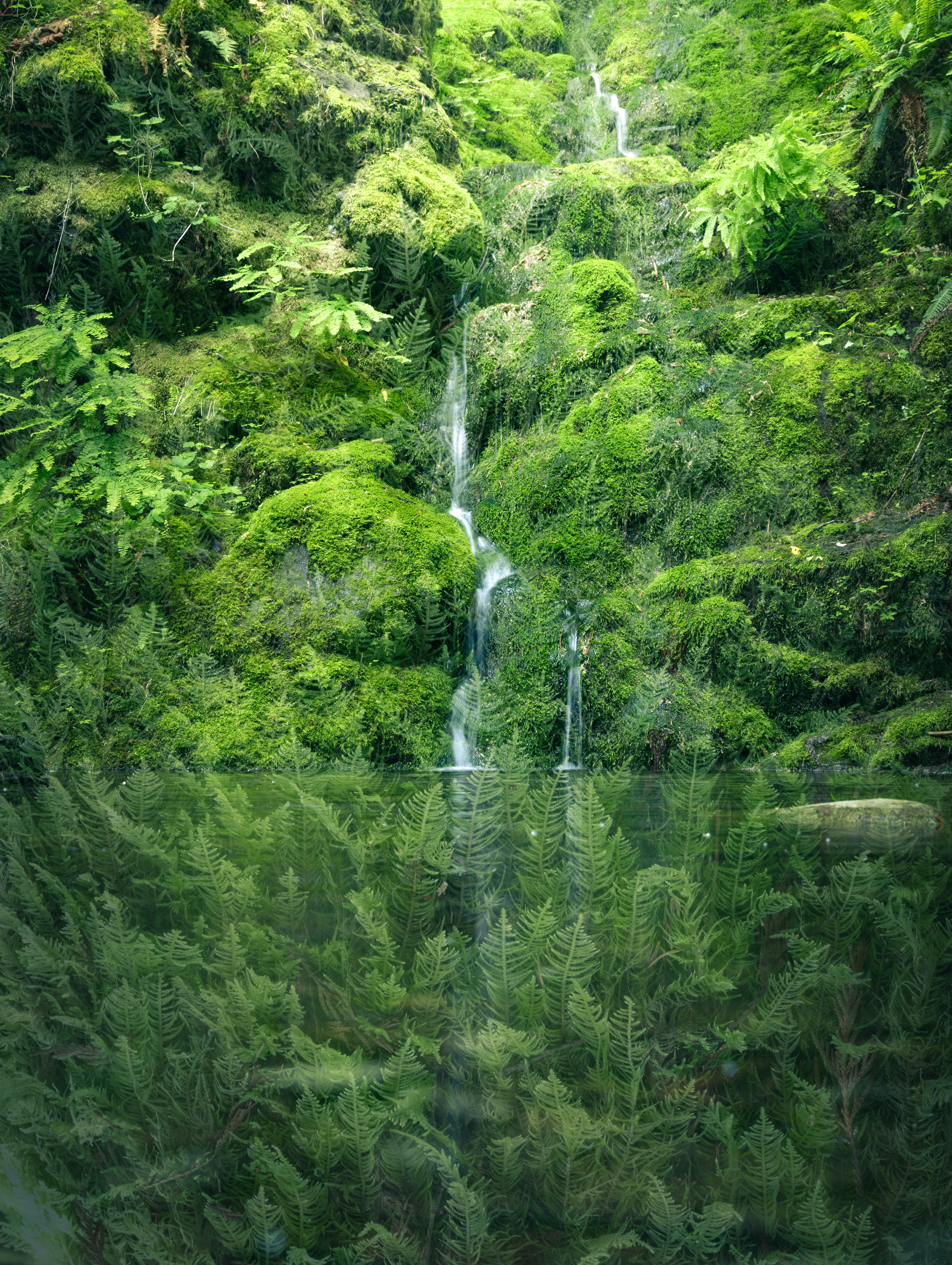 spiritworld