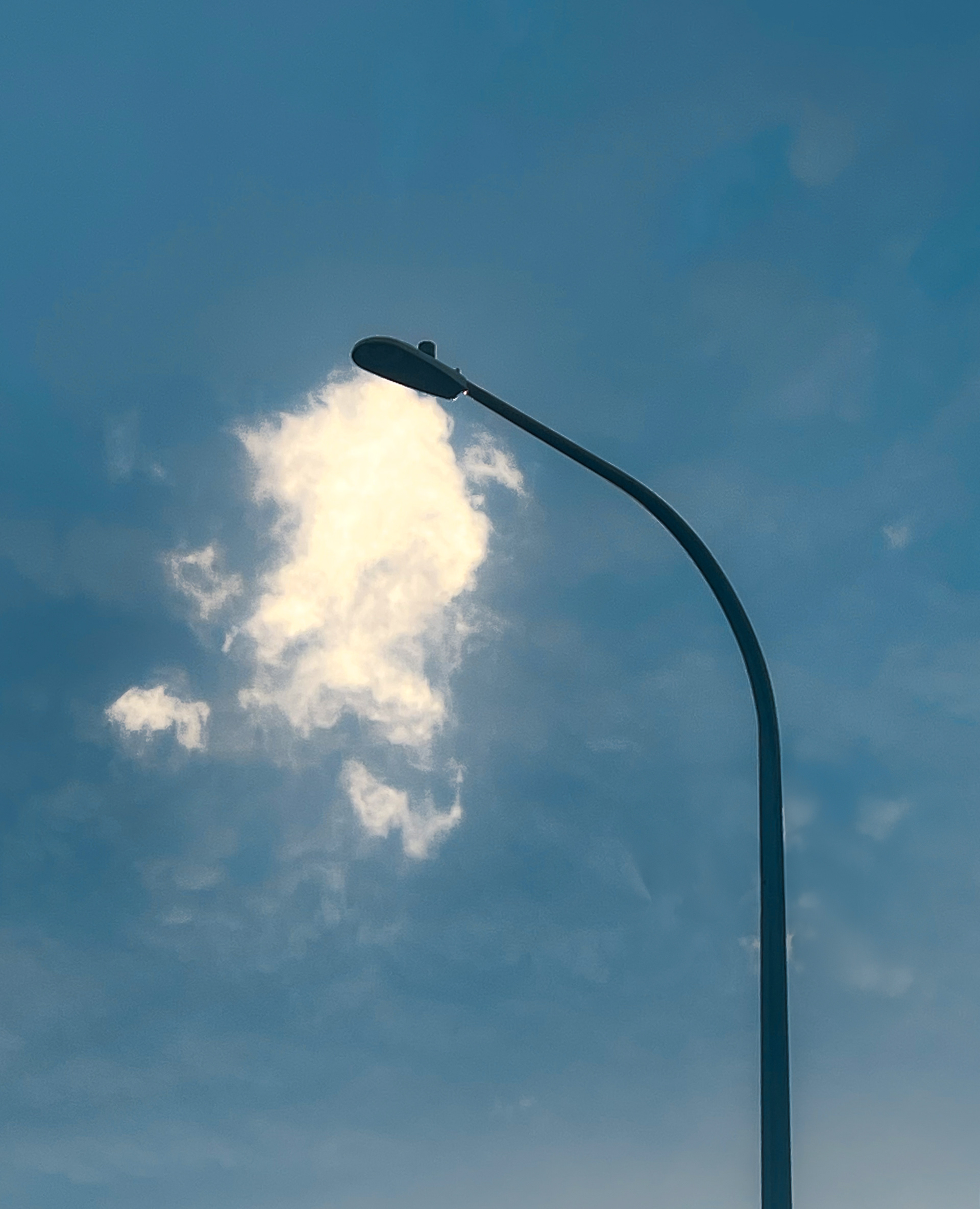 losing ideas