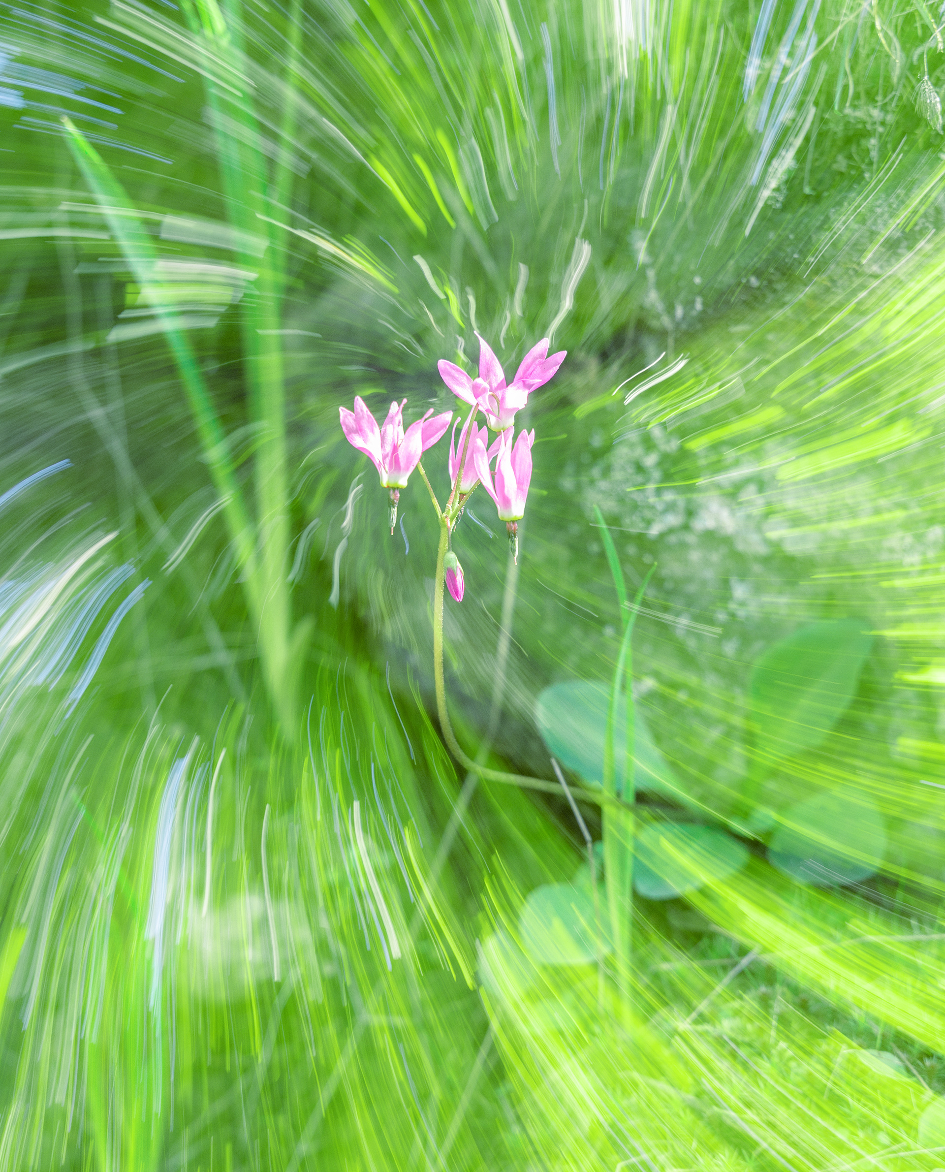 lightspeed