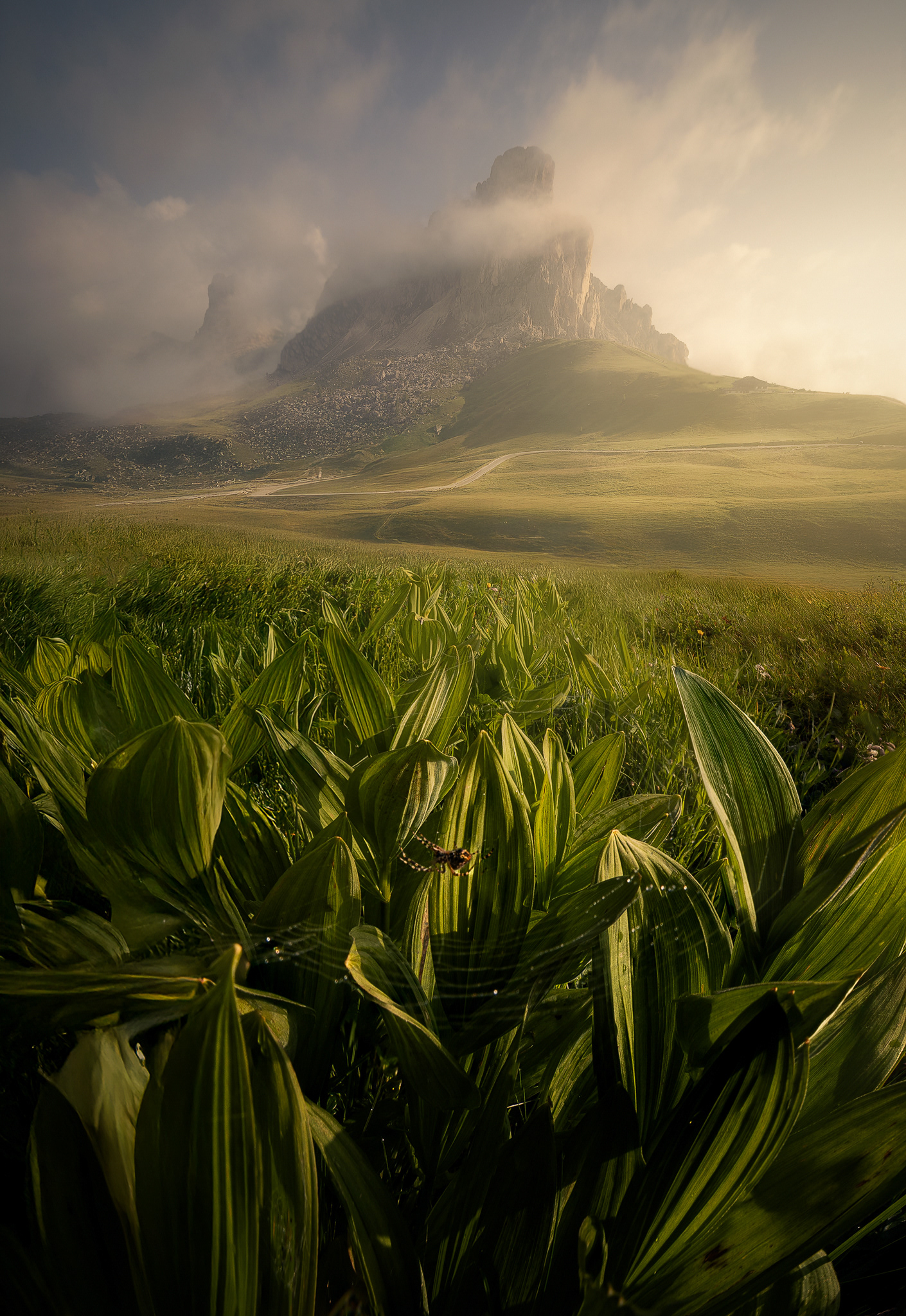 EPIC-GIAU