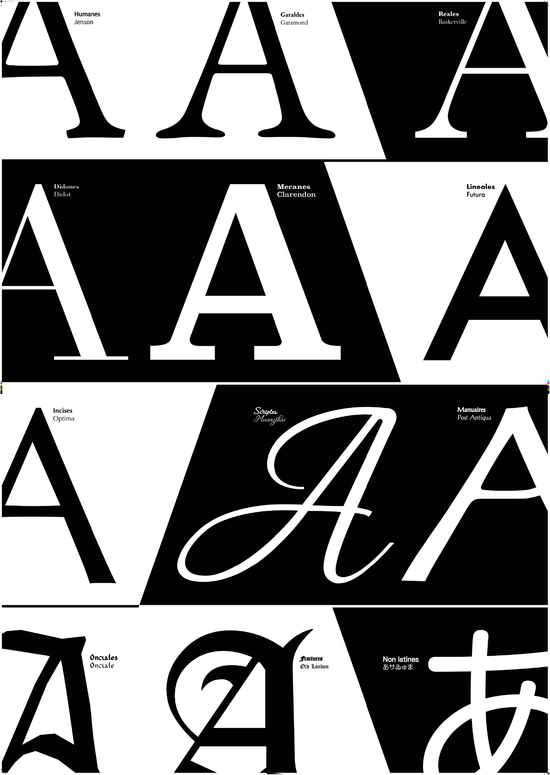 Travail graphique représentant la classification Vox Atypi sur une affiche format A3. Graphic work representing the Vox Atypi classification on an A3 poster.