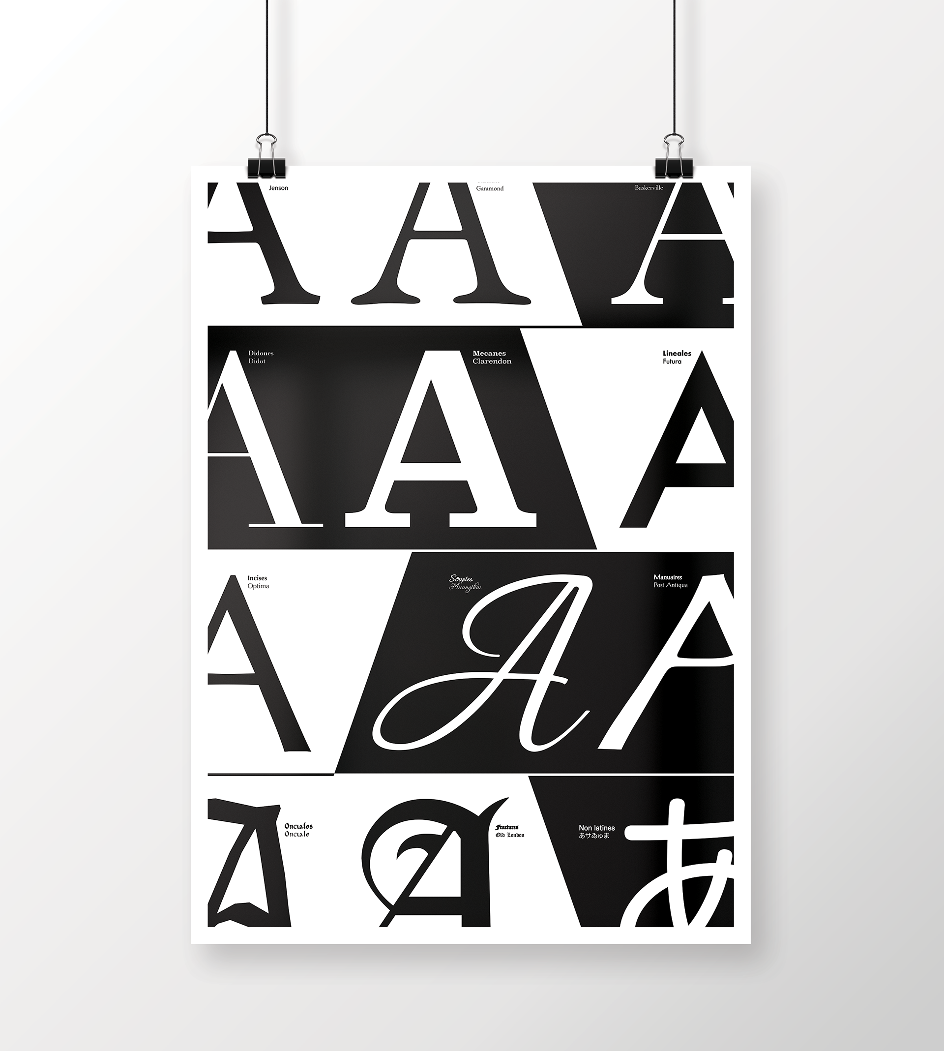 Travail graphique représentant la classification Vox Atypi sur une affiche format A3. Graphic work representing the Vox Atypi classification on an A3 poster.