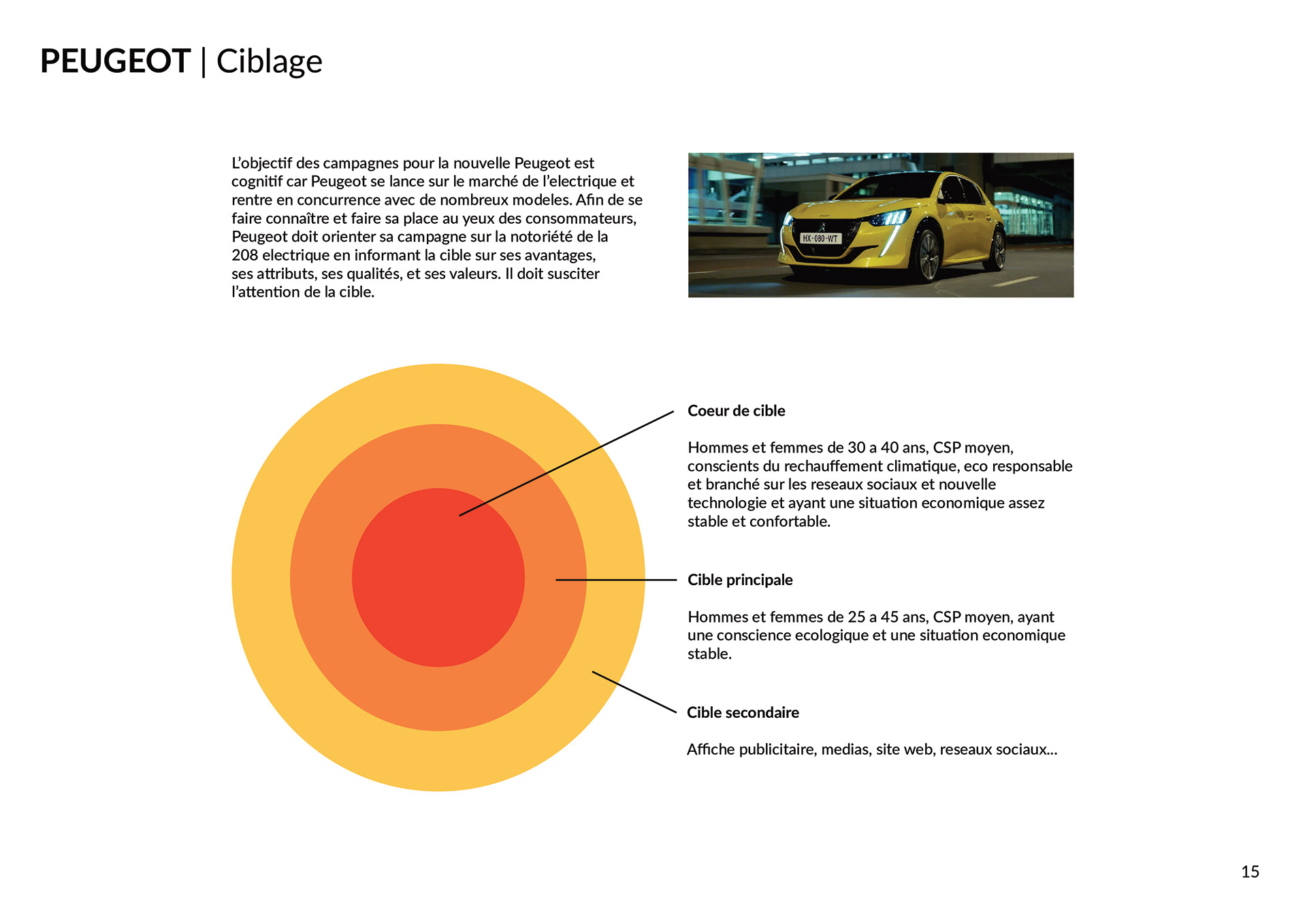Ciblage de la campagne de communication multi-supports de la Peugeot e-208 100% électrique. Targeting of the multi-media communication campaign for the 100% electric Peugeot e-208.