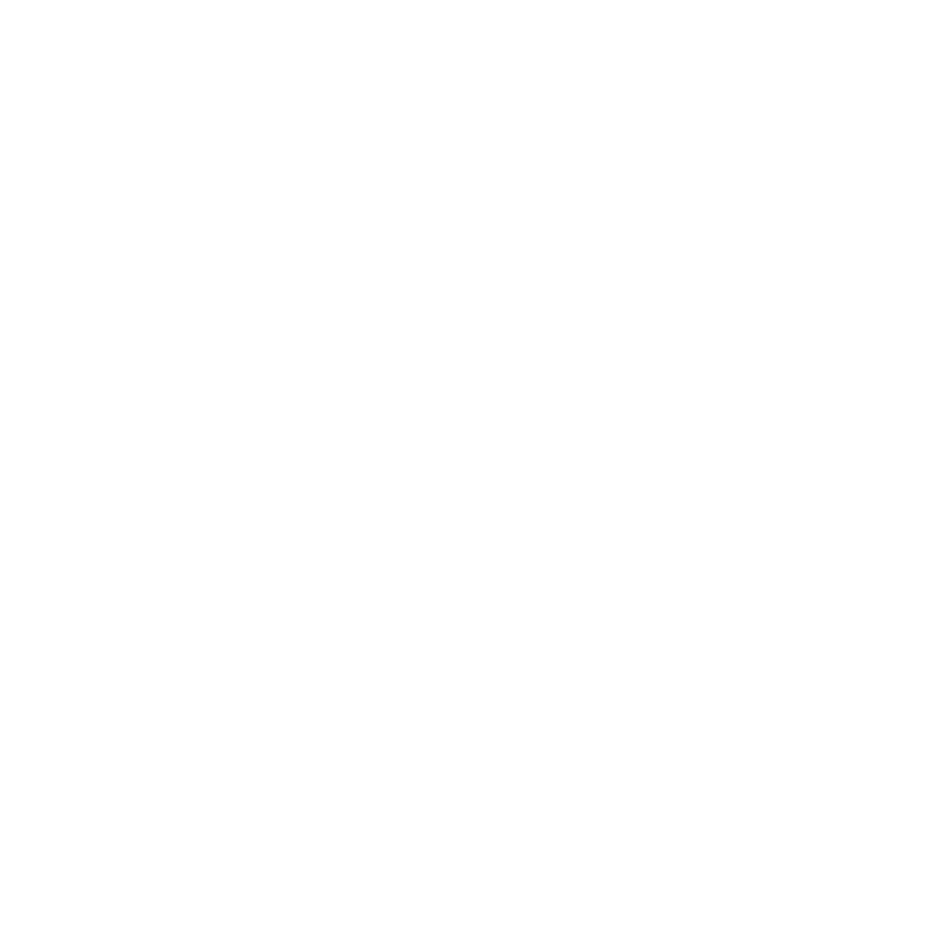 MADE Hoops