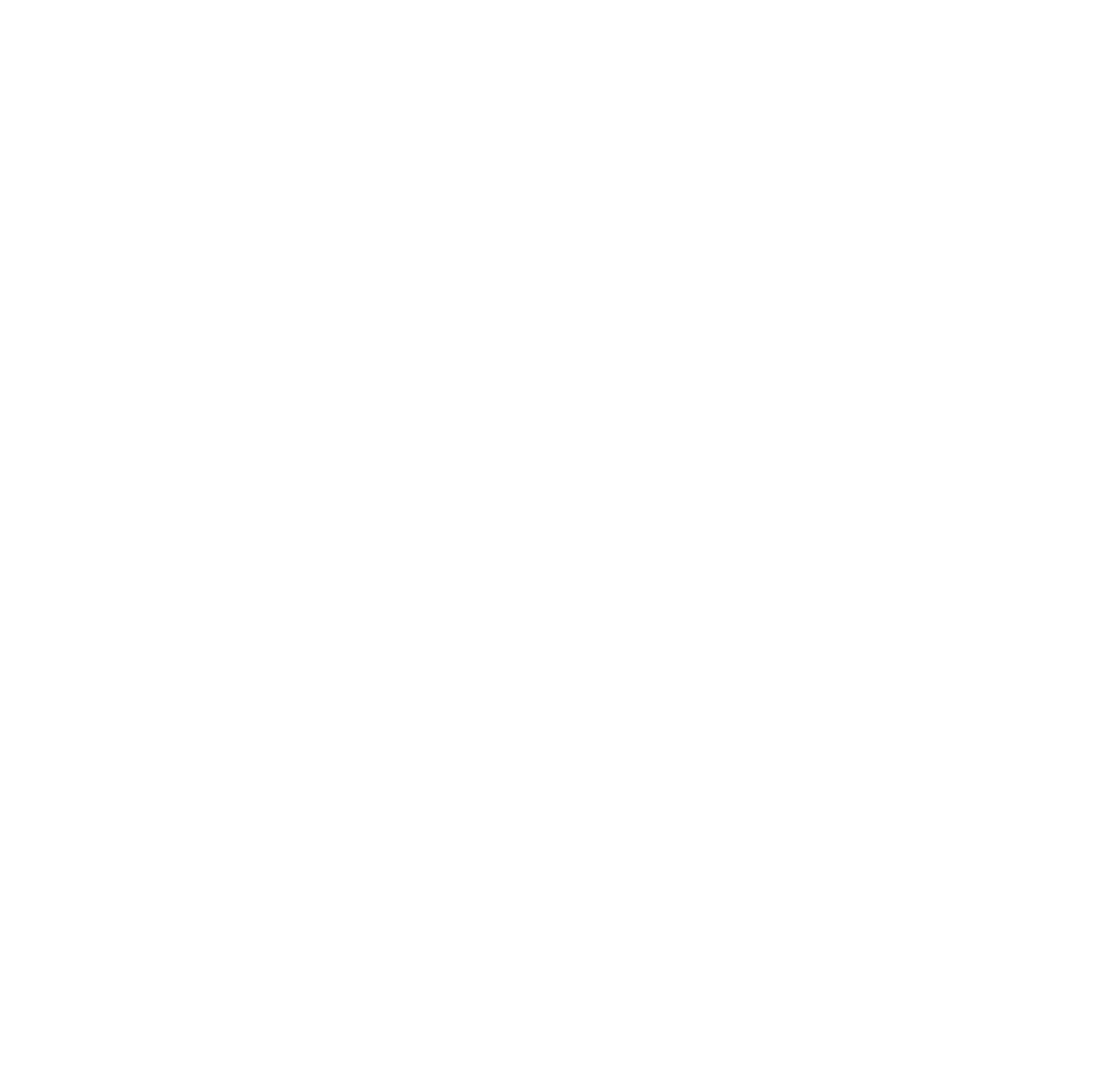 Basketball Beauties