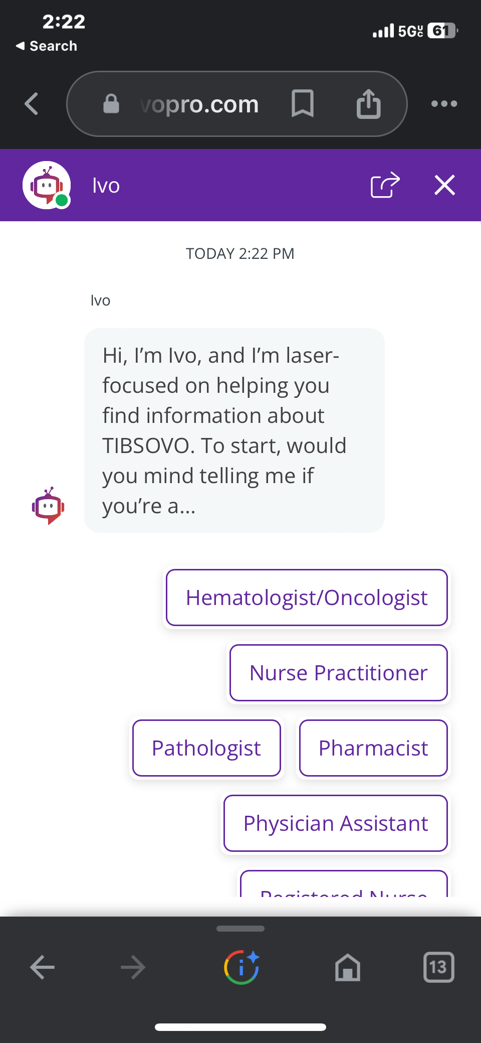 Chatbot IVO