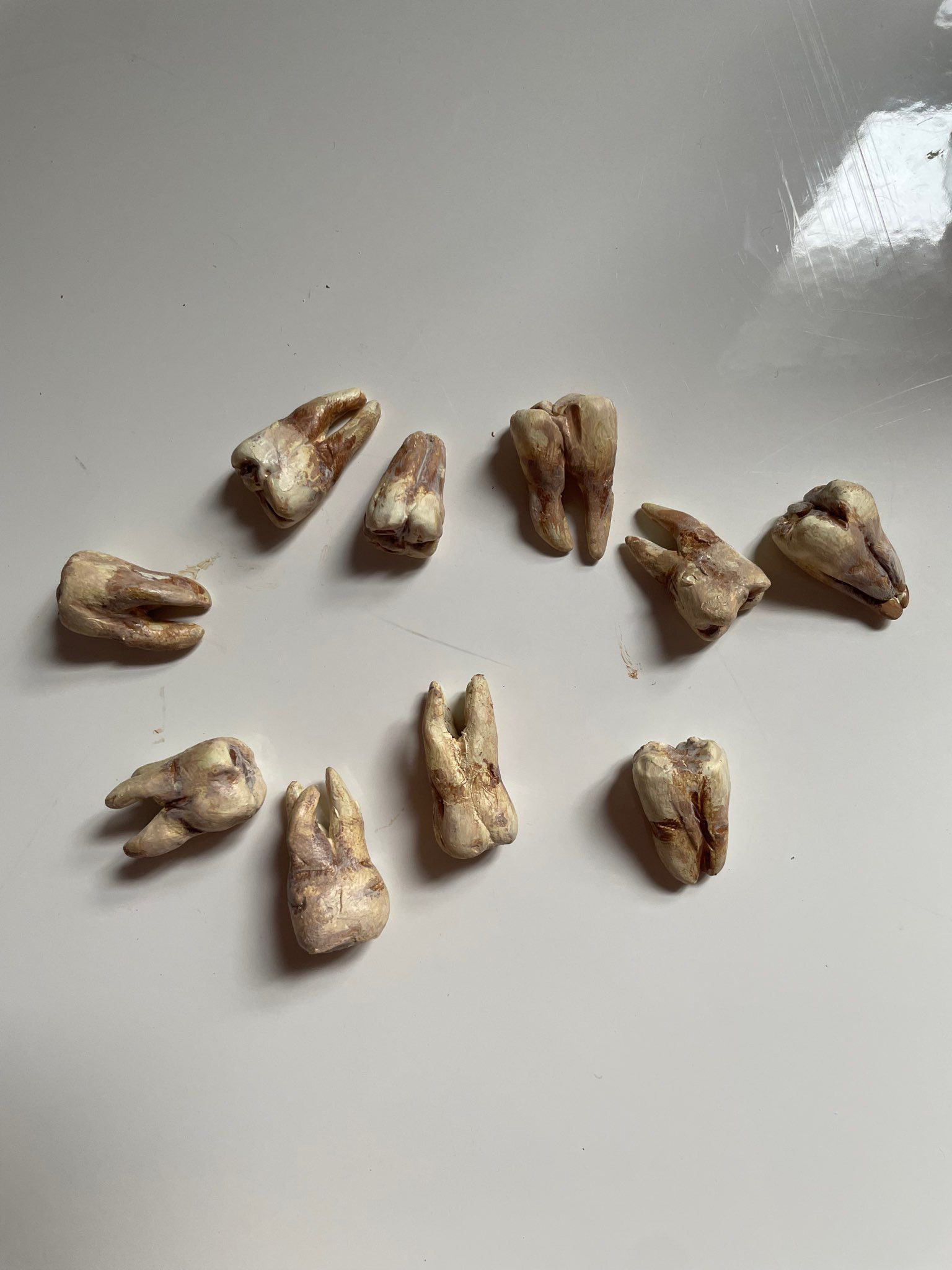 Painted Teeth
