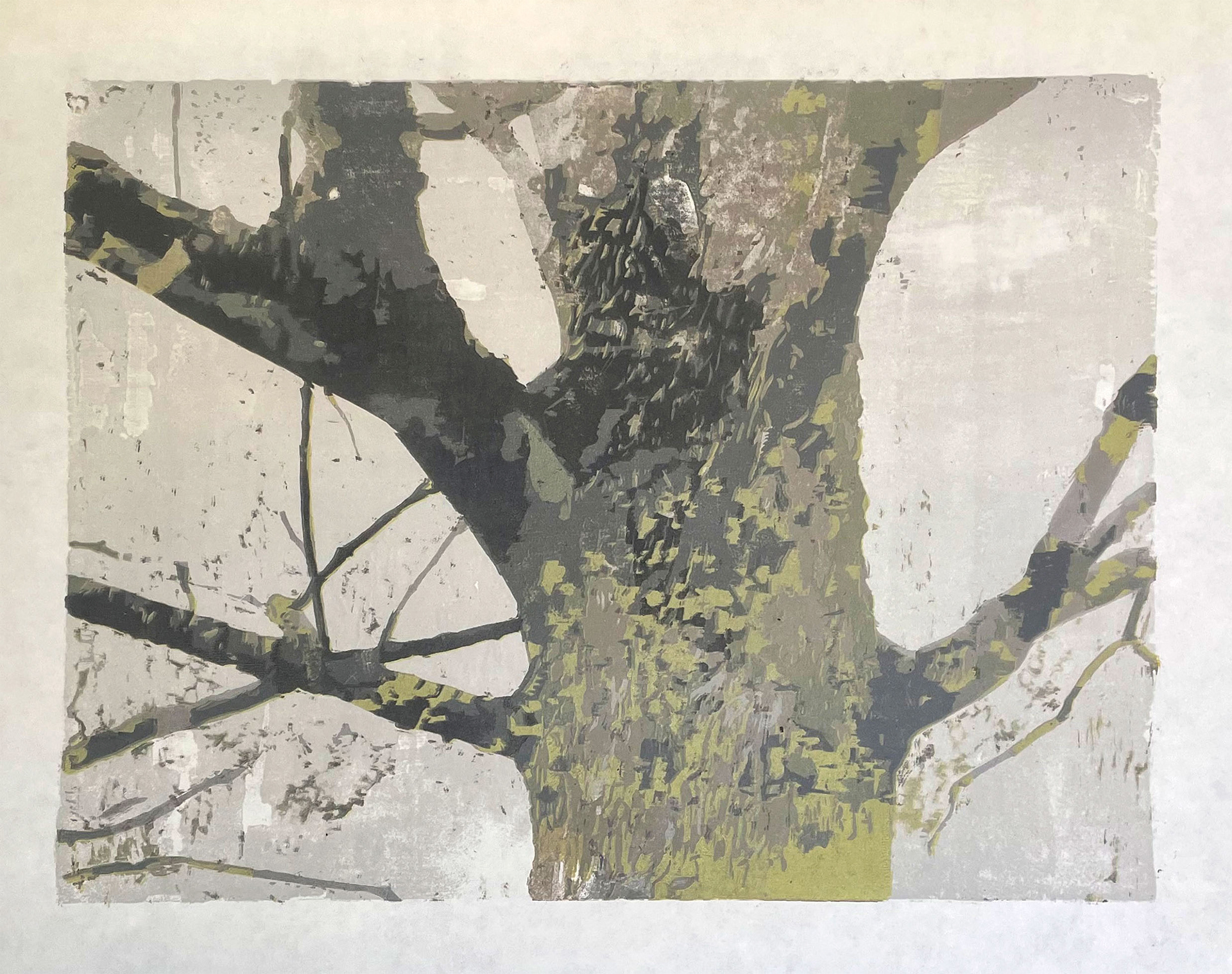 Tree in Manchester