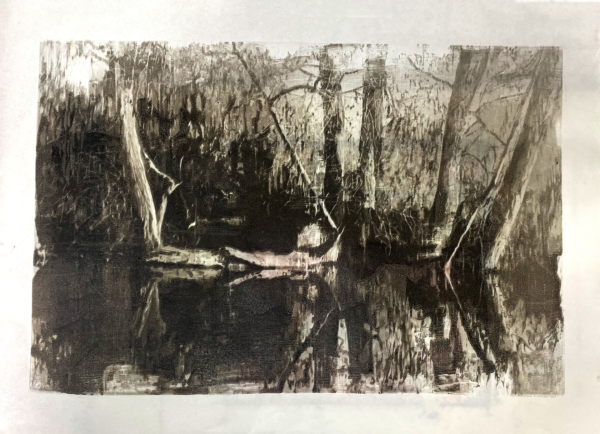 Tree Relflection on River