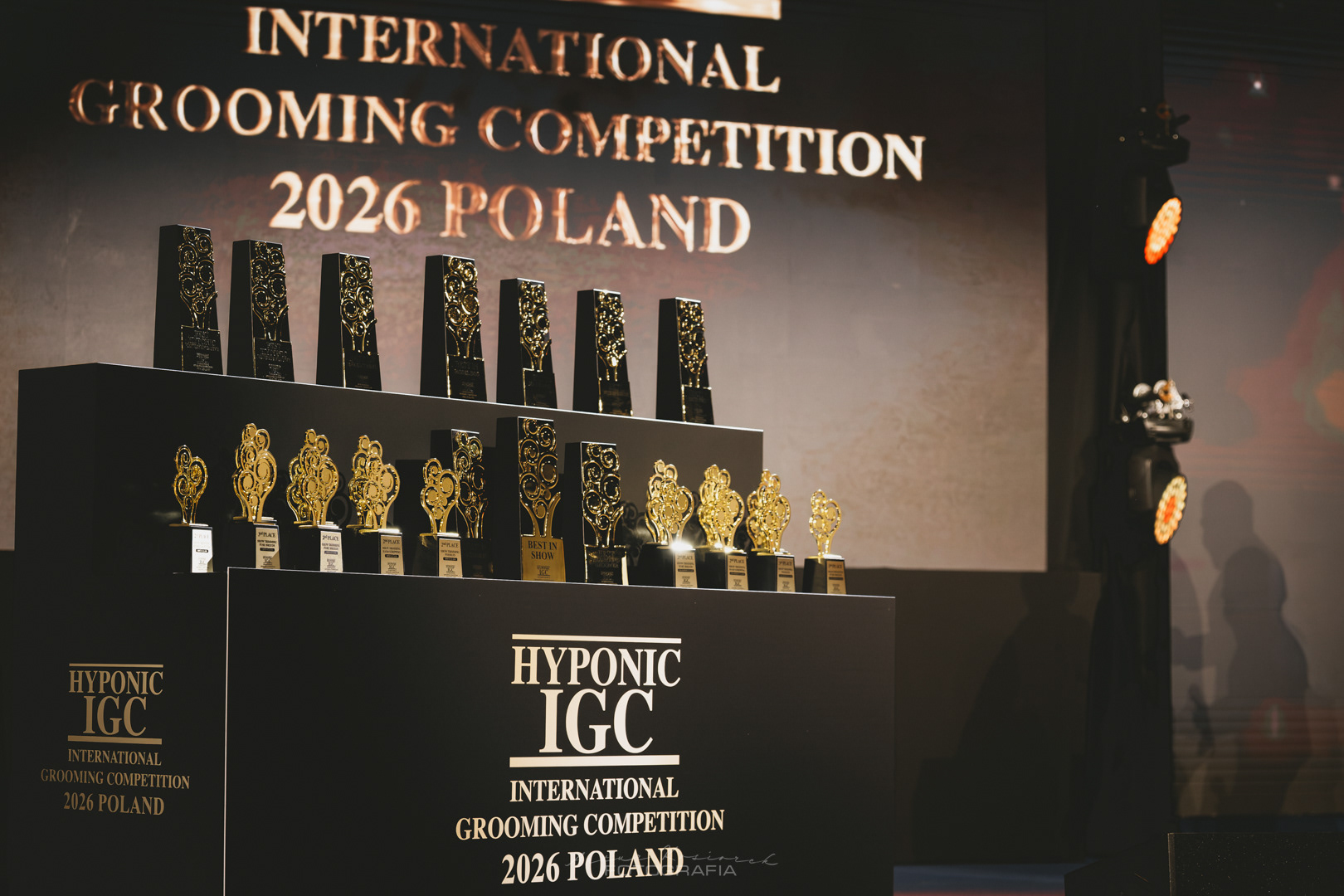 Nagrody Hyponic IGC 2026