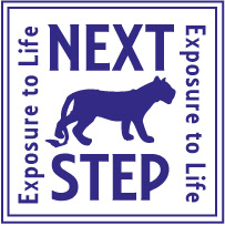 Ideation Sheet #7 for a new Youth Based Halfway Home