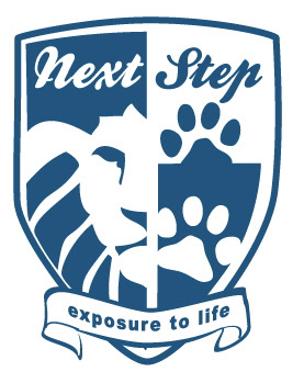 Ideation Sheet #2 for a new Youth Based Halfway Home