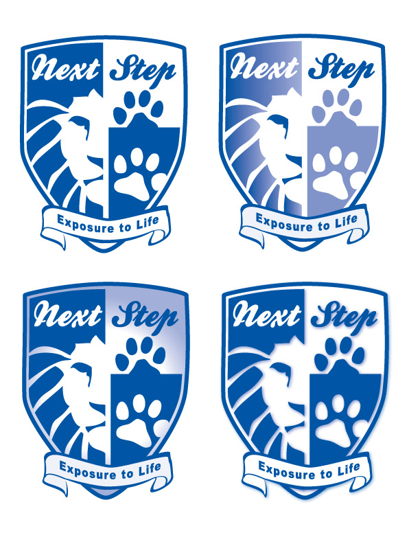 Ideation Sheet #4 for a new Youth Based Halfway Home