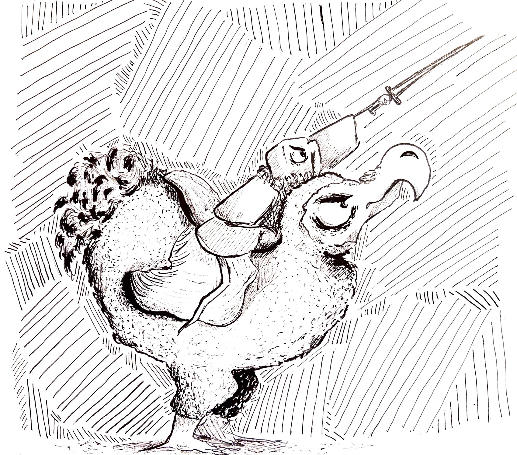 Day 31 : Risk