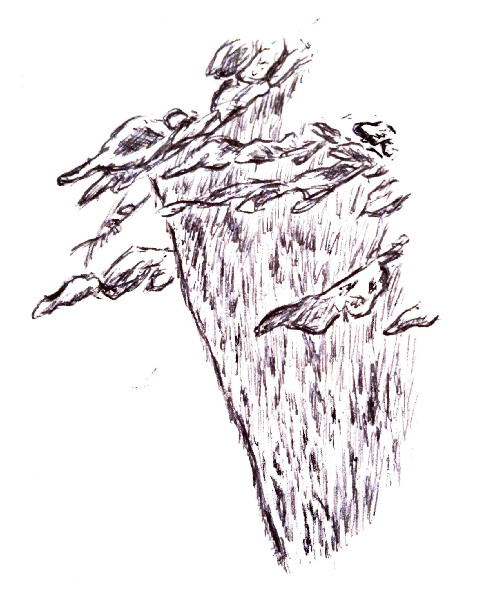 Gros plan sur un arbre.