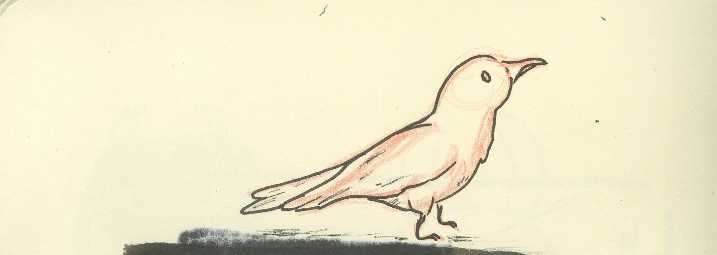 Croquis 3