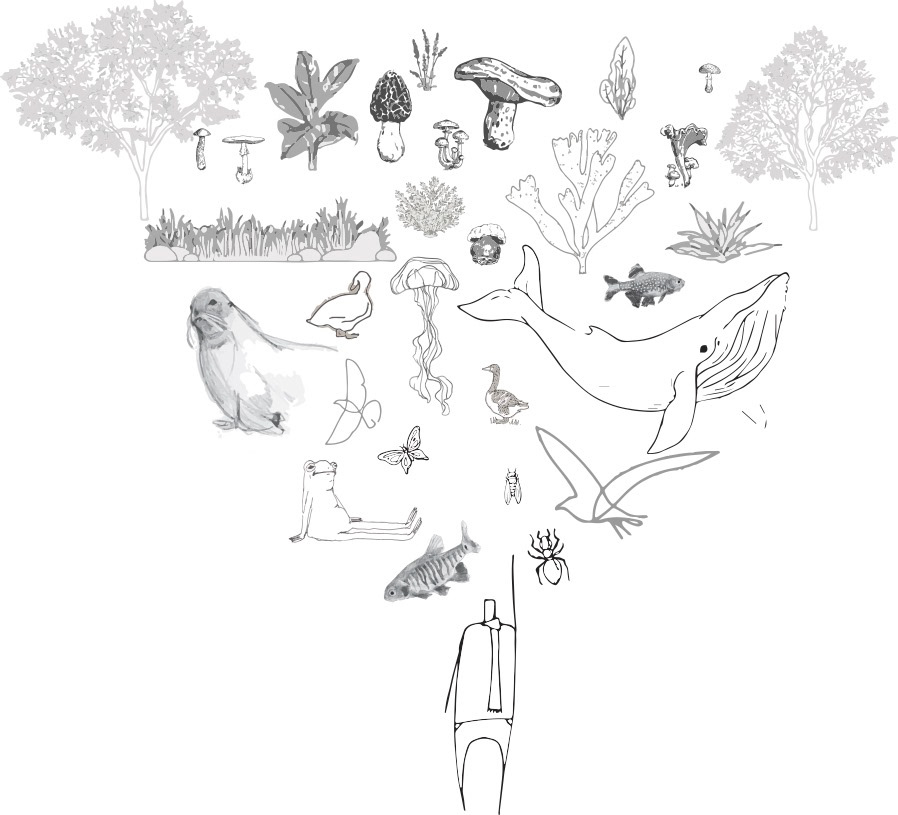 What if nature was our first priority when it comes to urban planning?