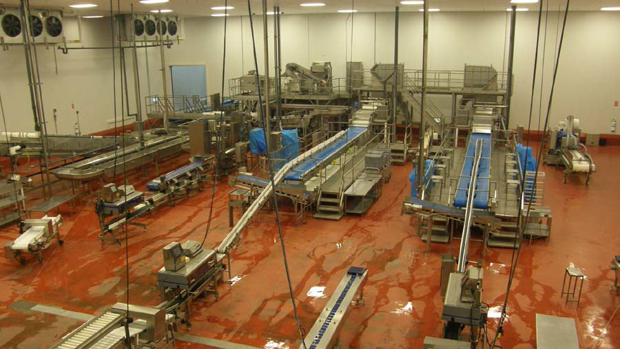 Dandy Cooling / Duda Farm Fresh Foods - Oxnard