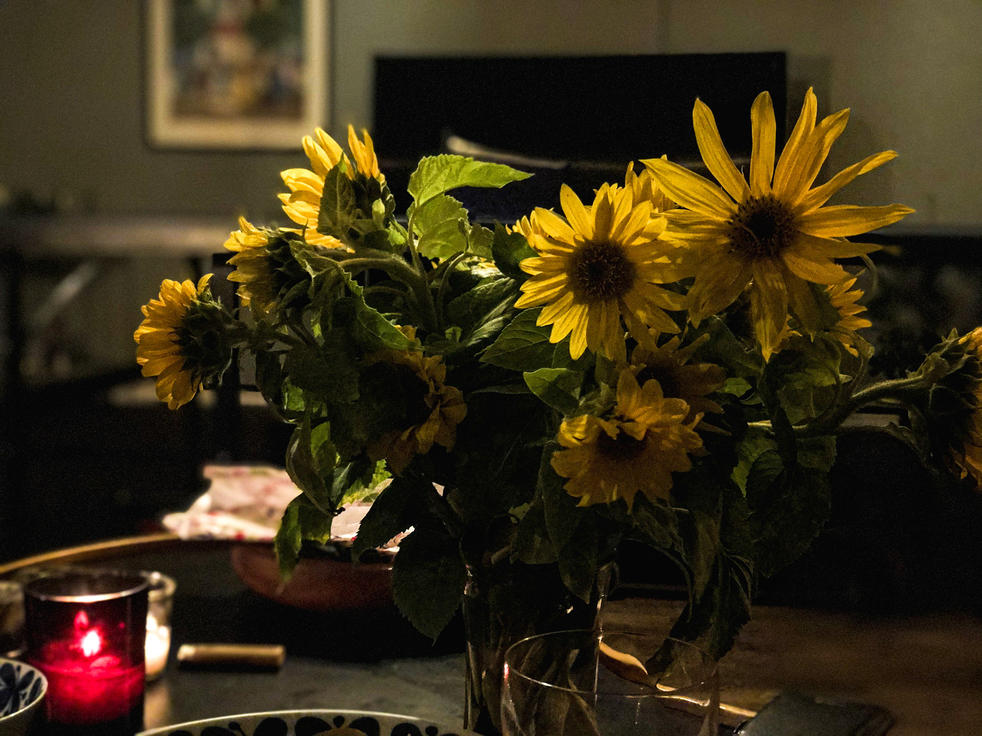 Solroser från Vapnö