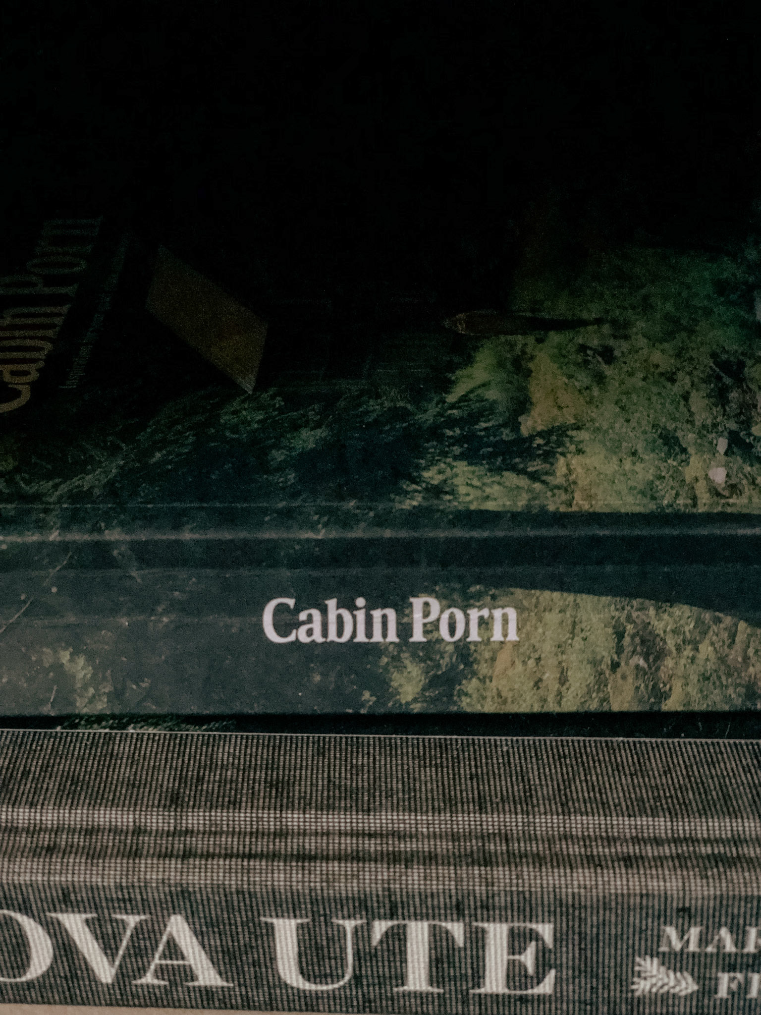 Läslust eller annan