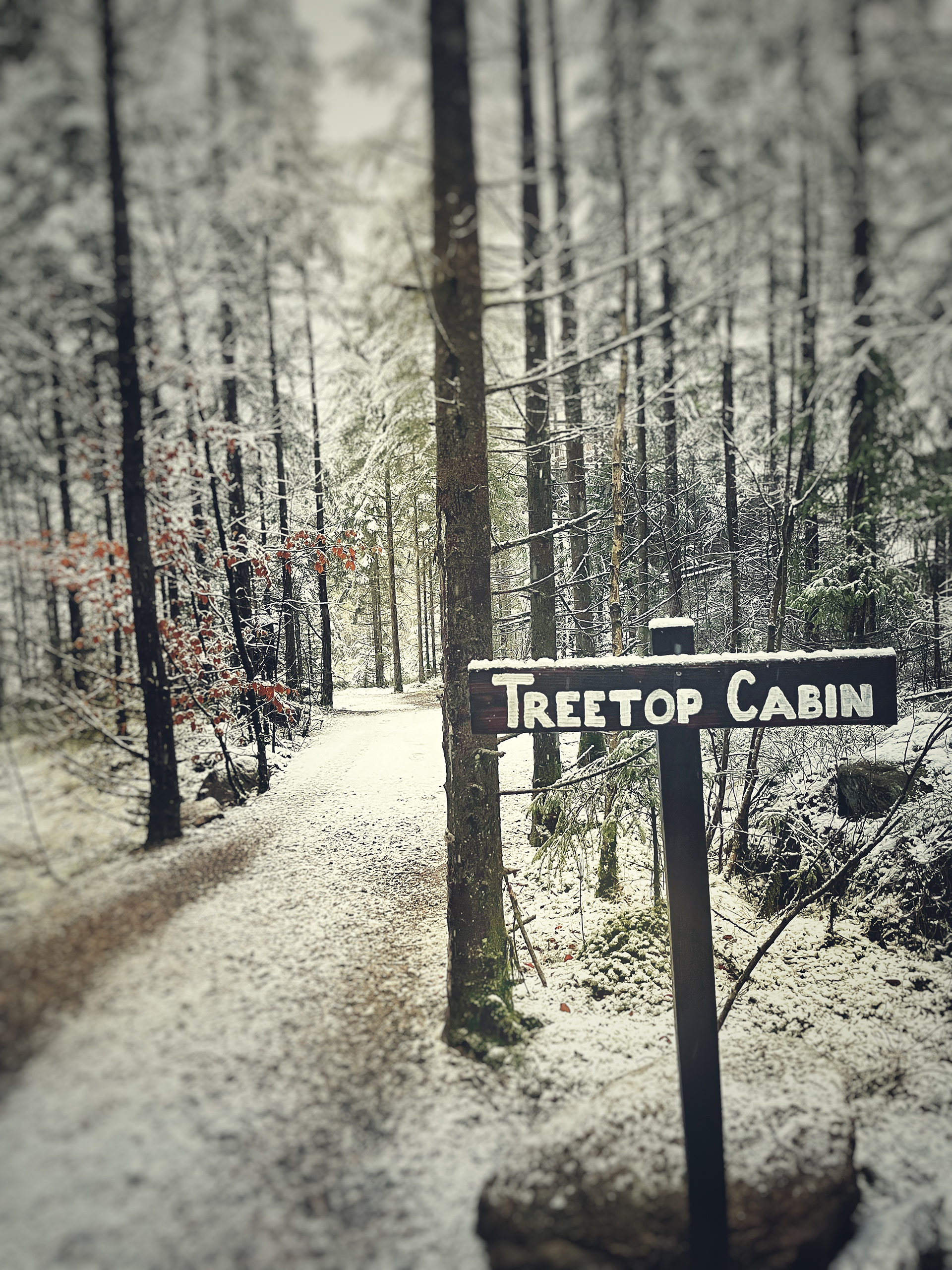 vägen ner till stugan