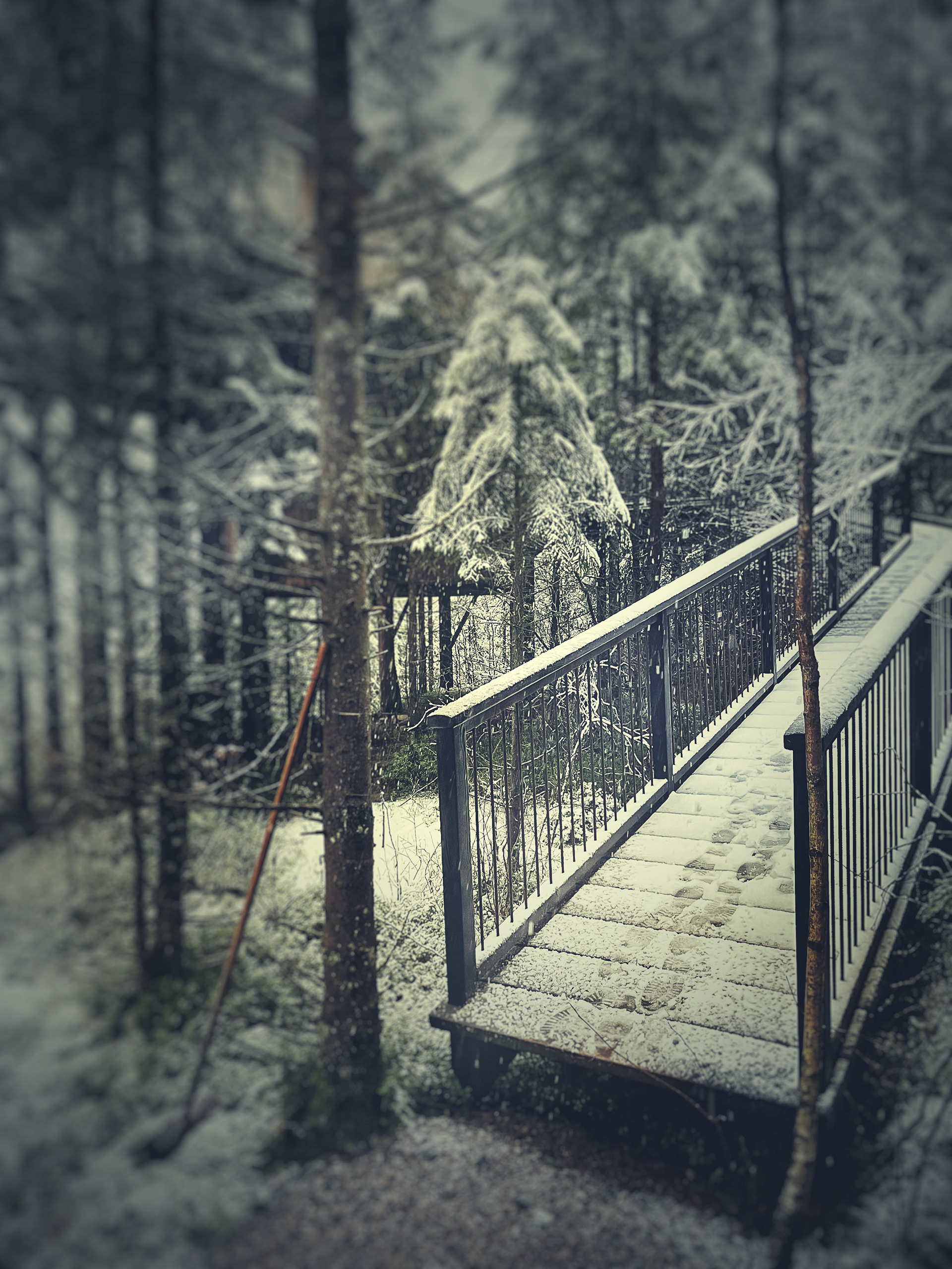 vågen upp