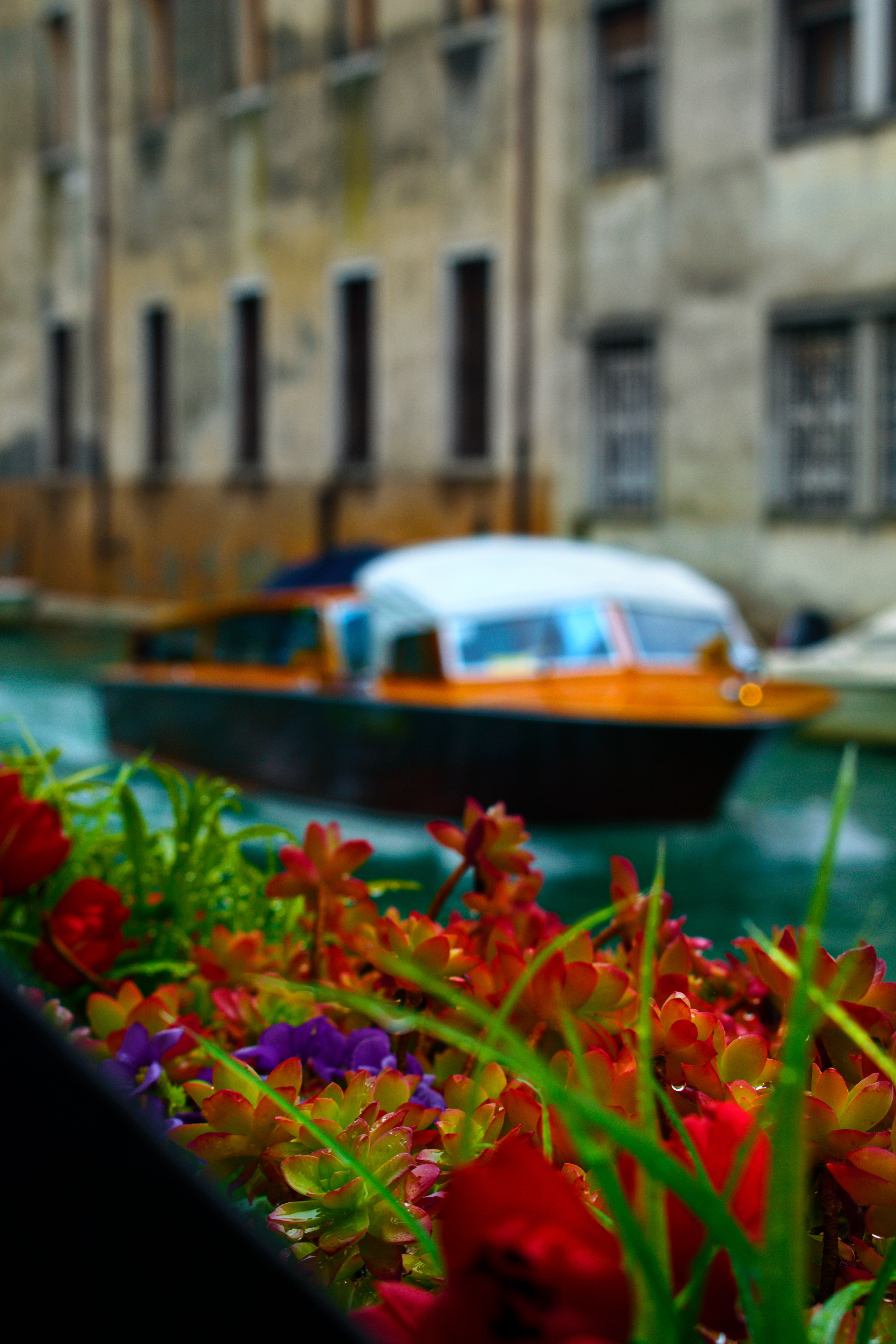 Venice