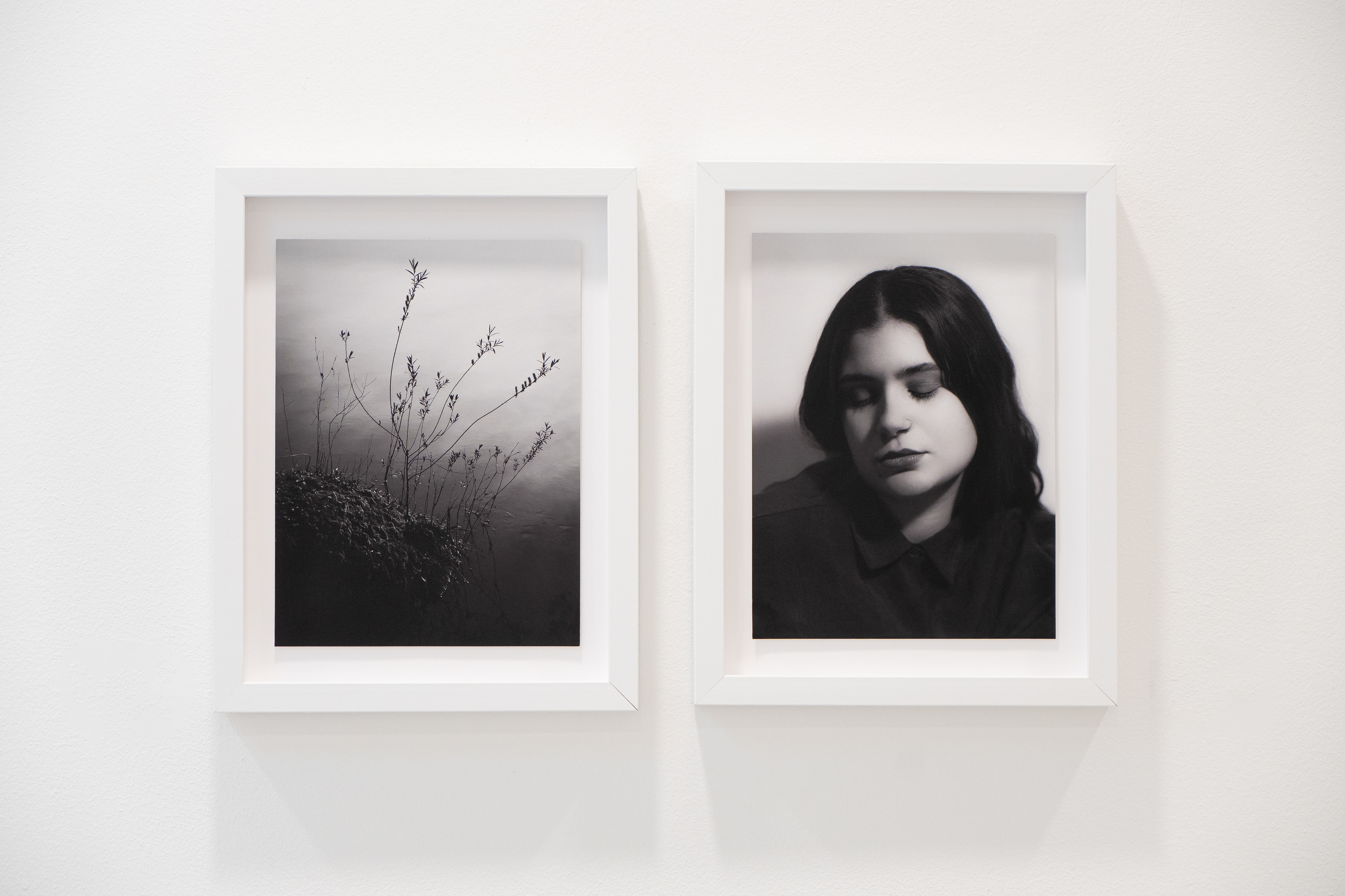 Tranquility & Momoria II - Amuse by Galerie Wilms in Venlo (2024)