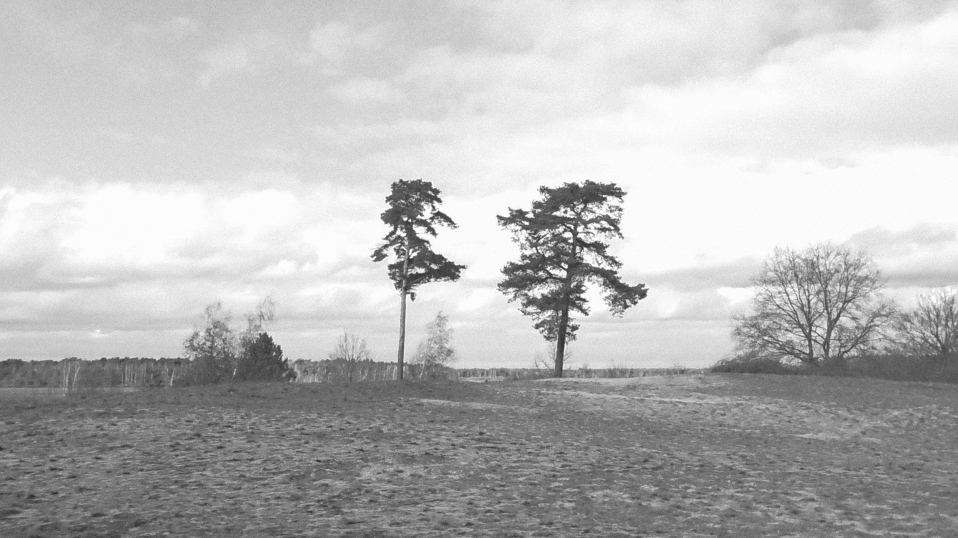 untitled - film still (2026)