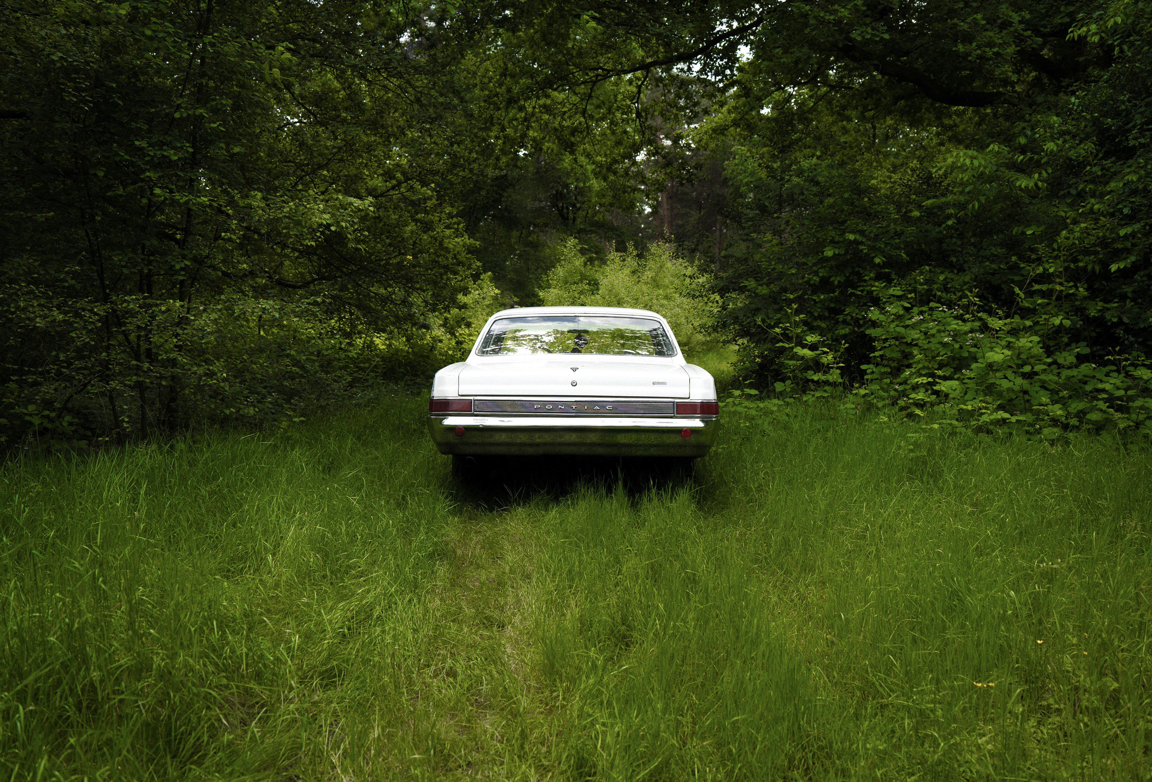 From the photo series PARALLELS (2024)