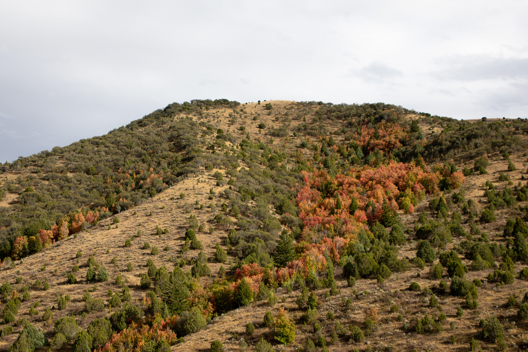 utah