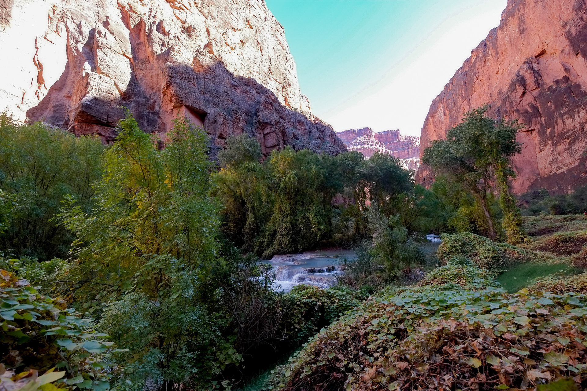 arizona