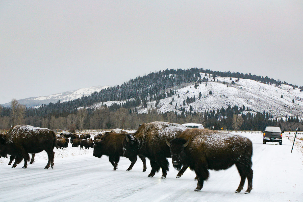 jackson, wyoming