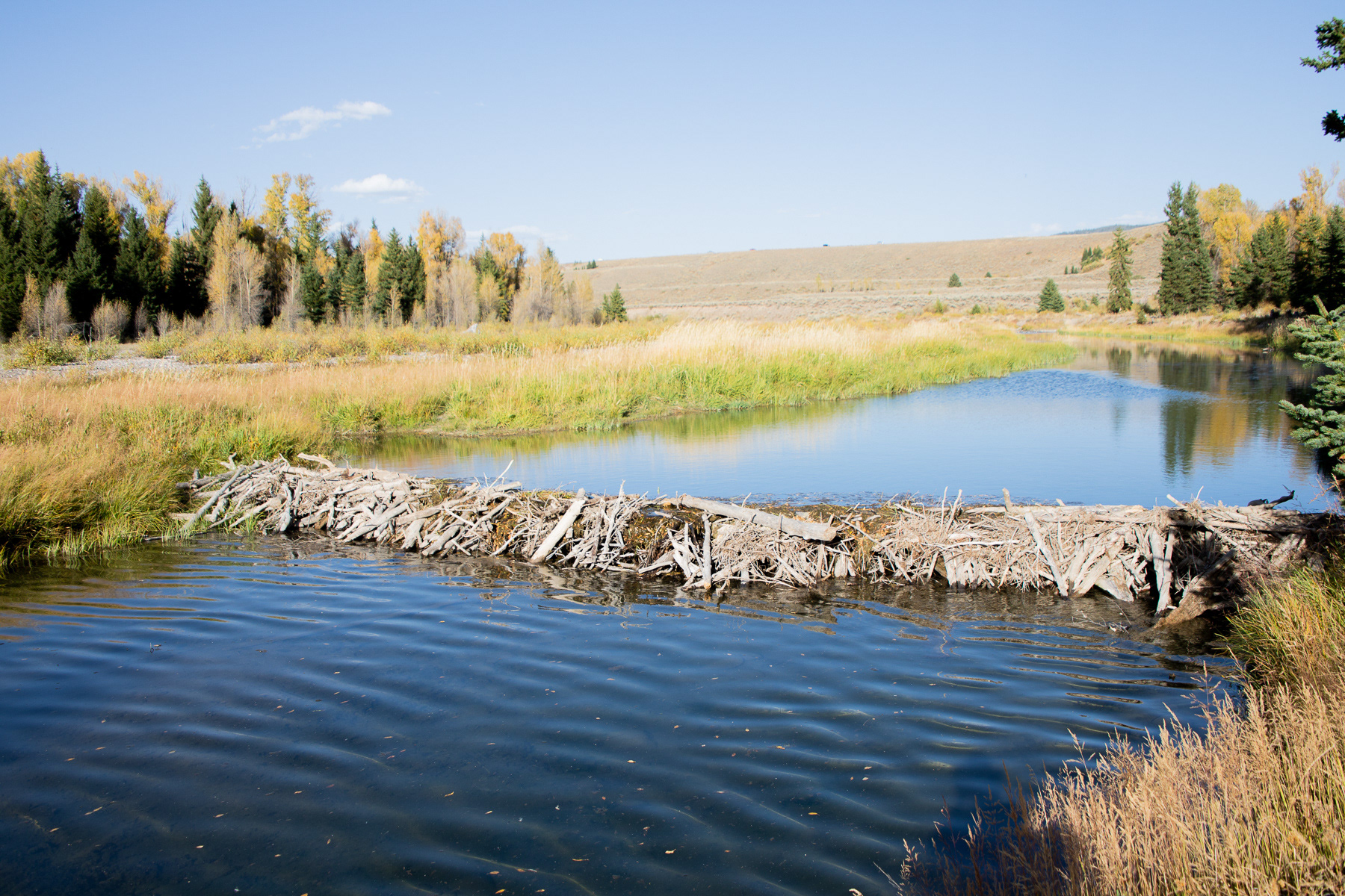 jackson, wyoming