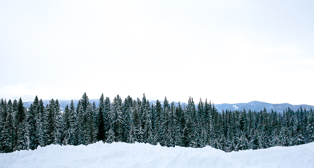 jackson, wyoming