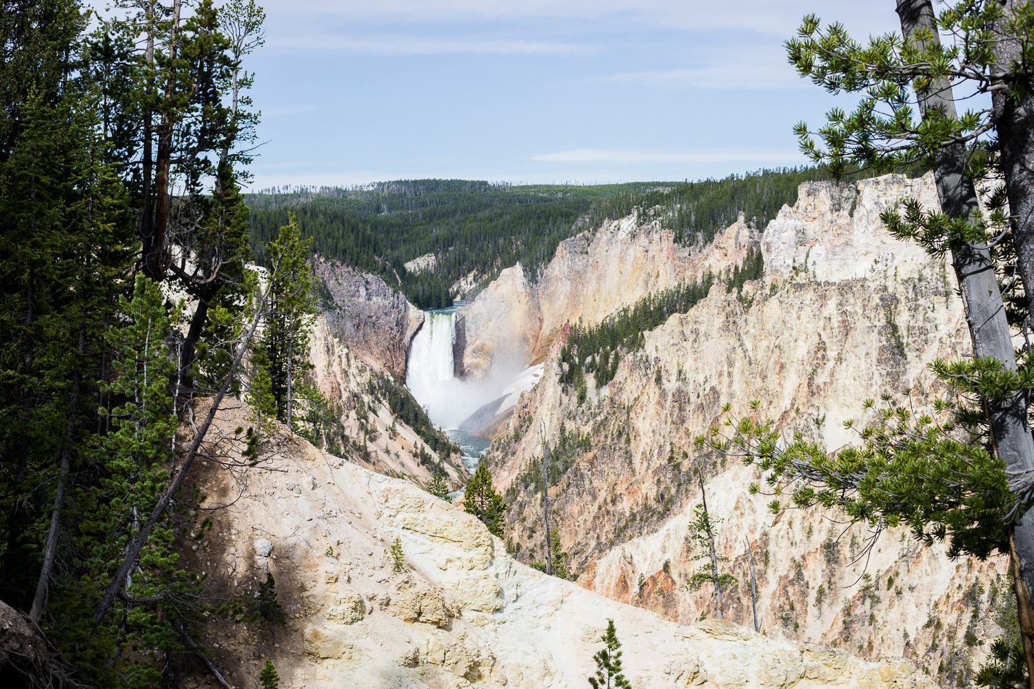 yellowstone national park