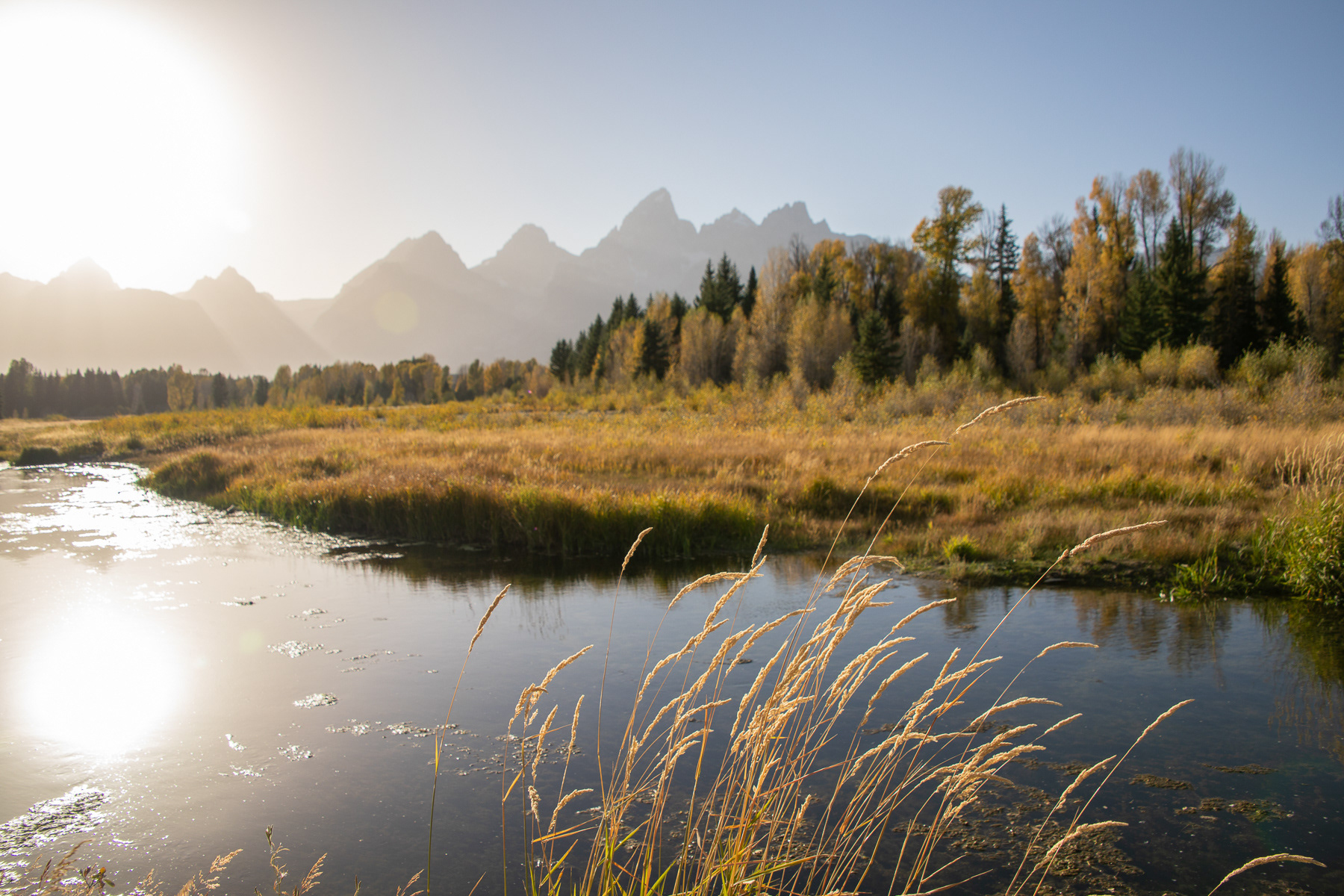 jackson, wyoming