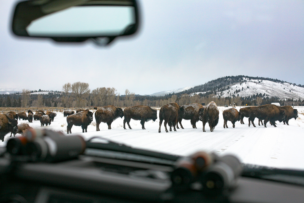 jackson, wyoming