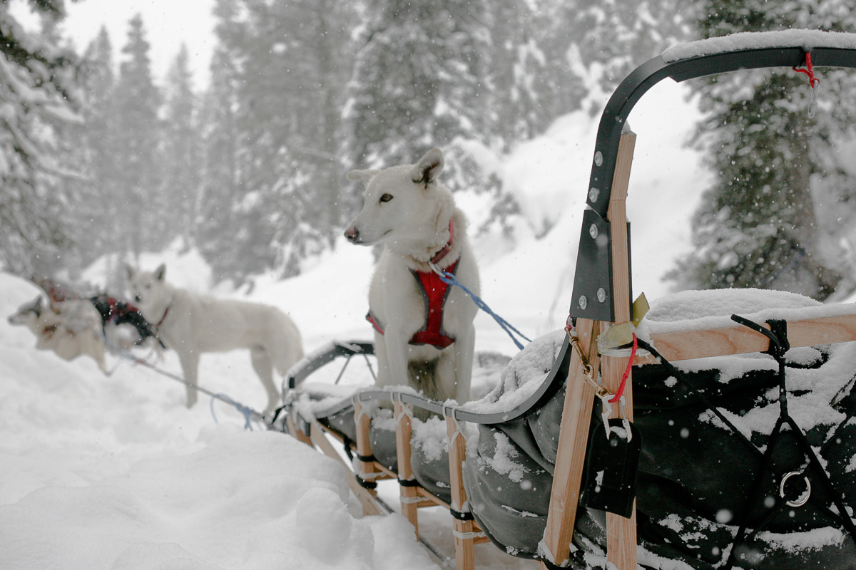 jackson, wyoming