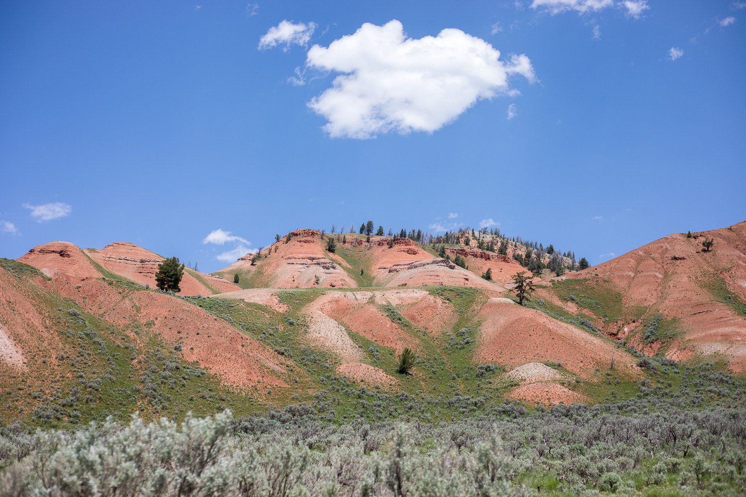 jackson, wyoming