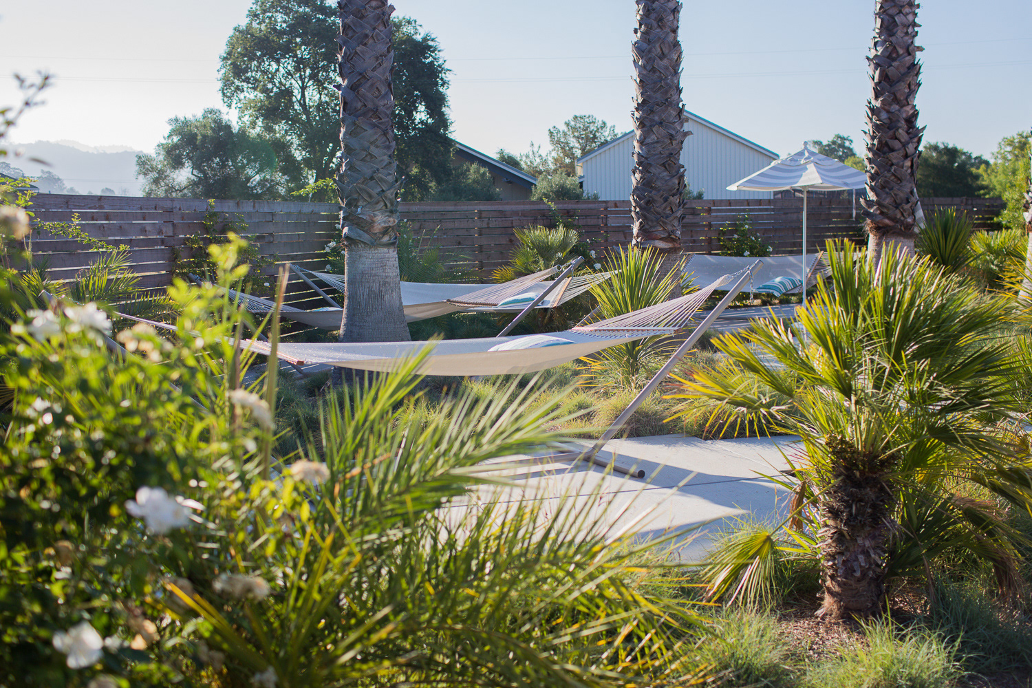 for calistoga motor lodge & spa