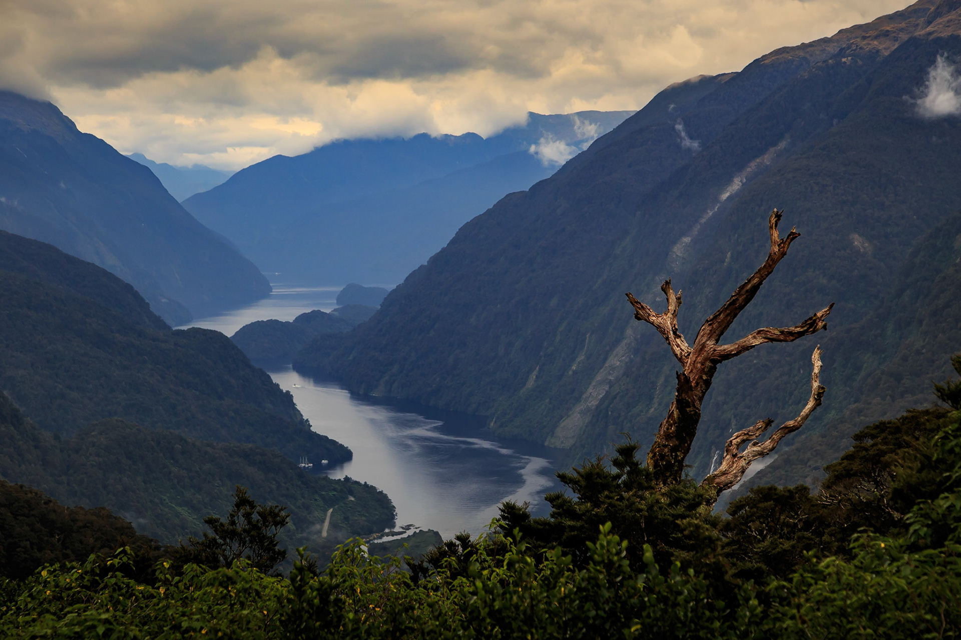 Doubtful Sound, South Island, New Zealand